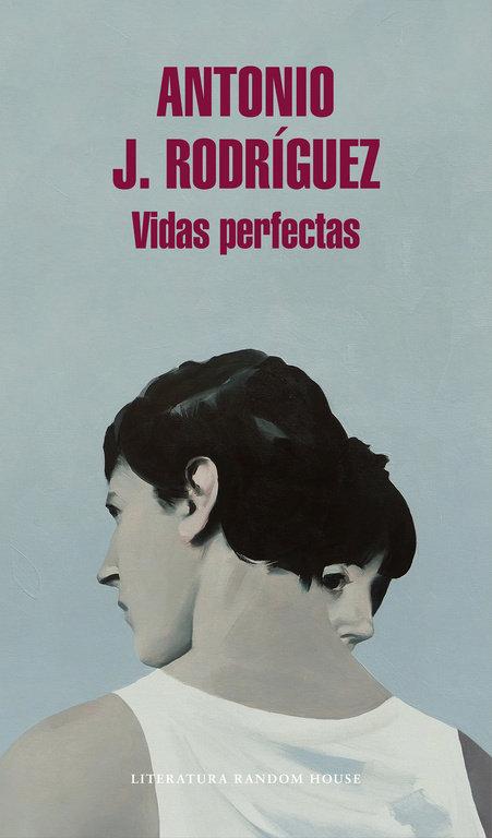 Vorderes Coverbild Vidas perfectas