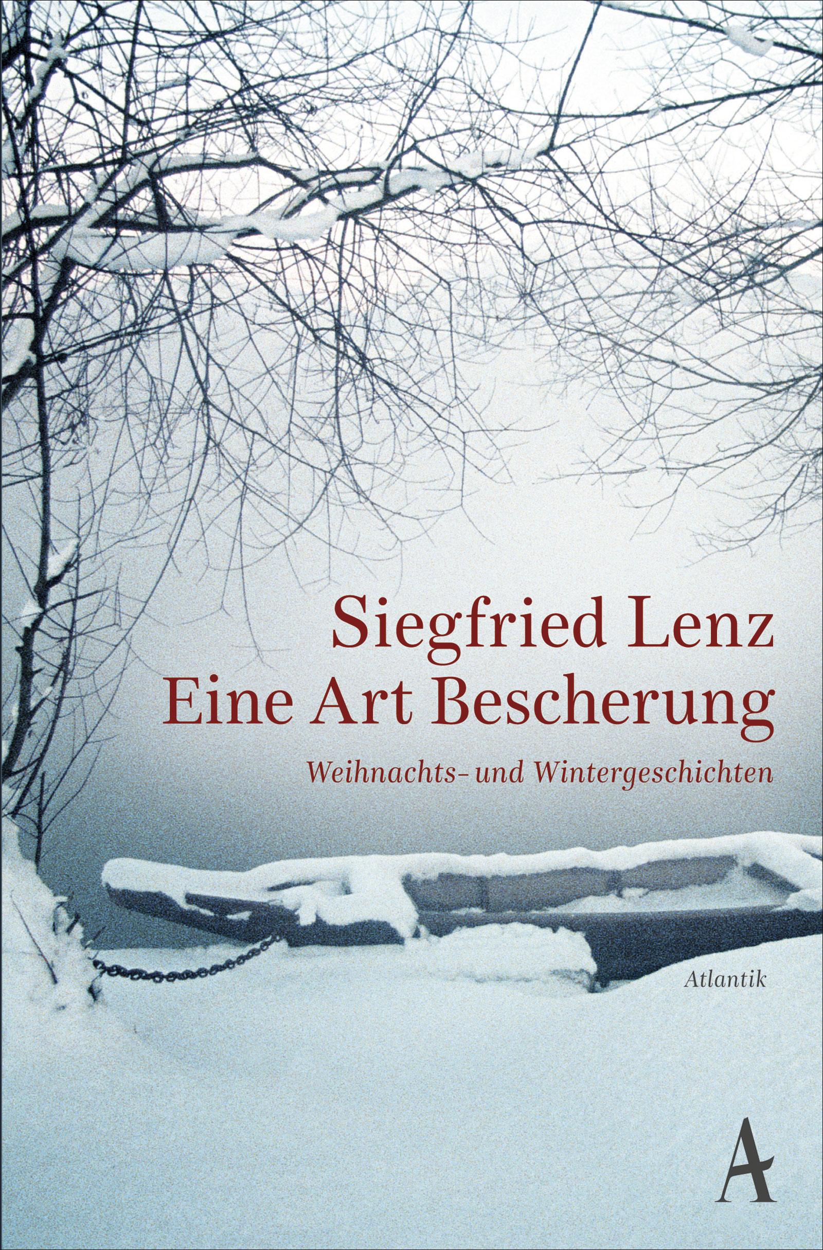 Vorderes Coverbild Eine Art Bescherung