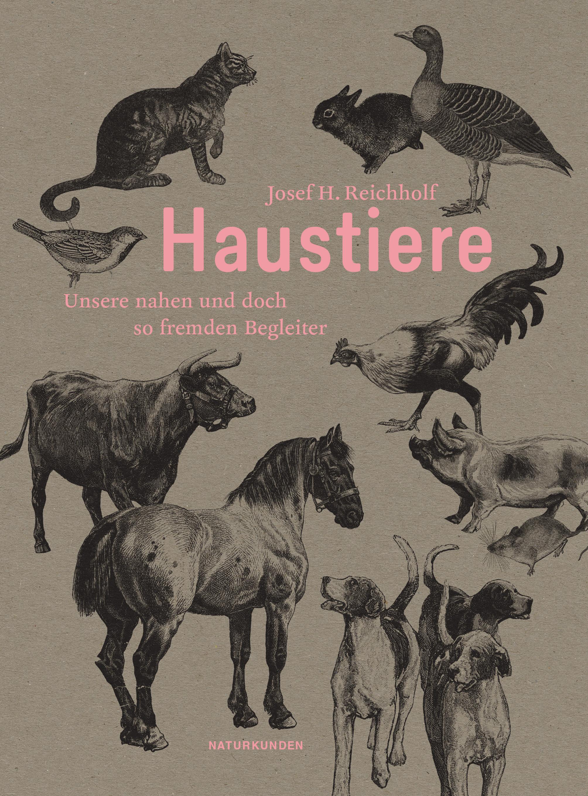 Vorderes Coverbild Haustiere