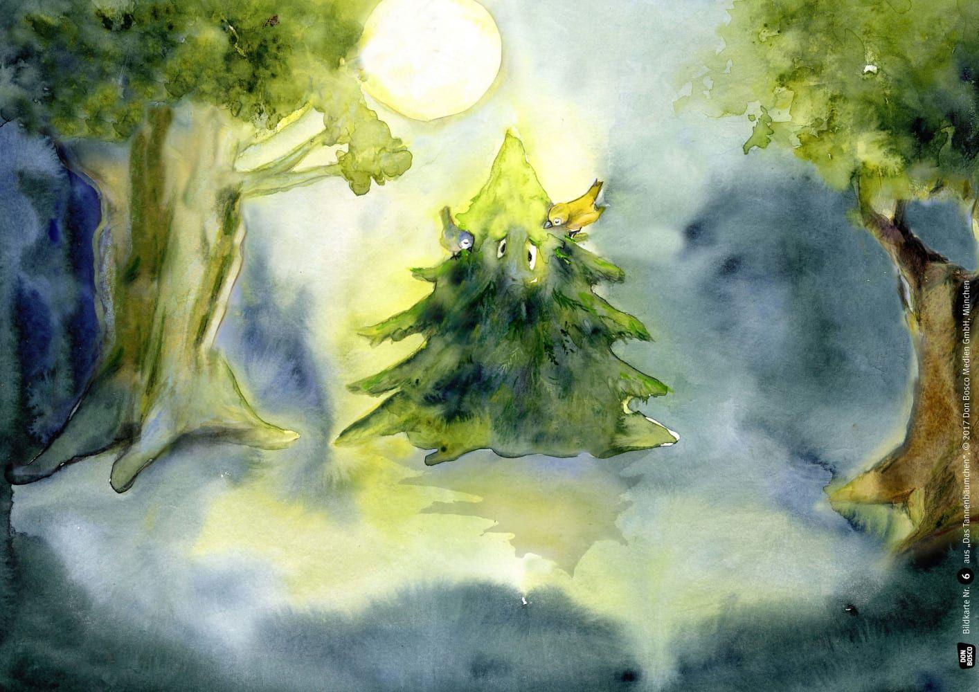 Beispielinhalt (Bild) Das Tannenbäumchen. Kamishibai Bildkartenset