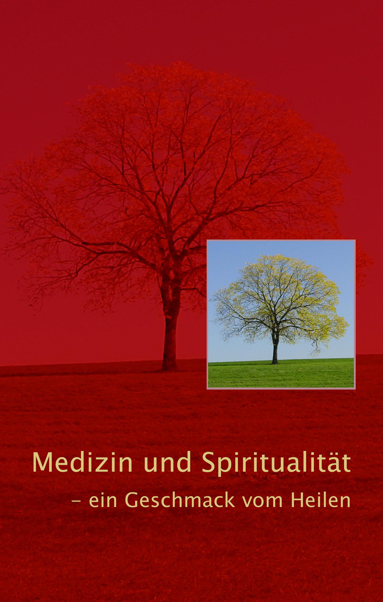 Vorderes Coverbild Medizin und Spiritualität