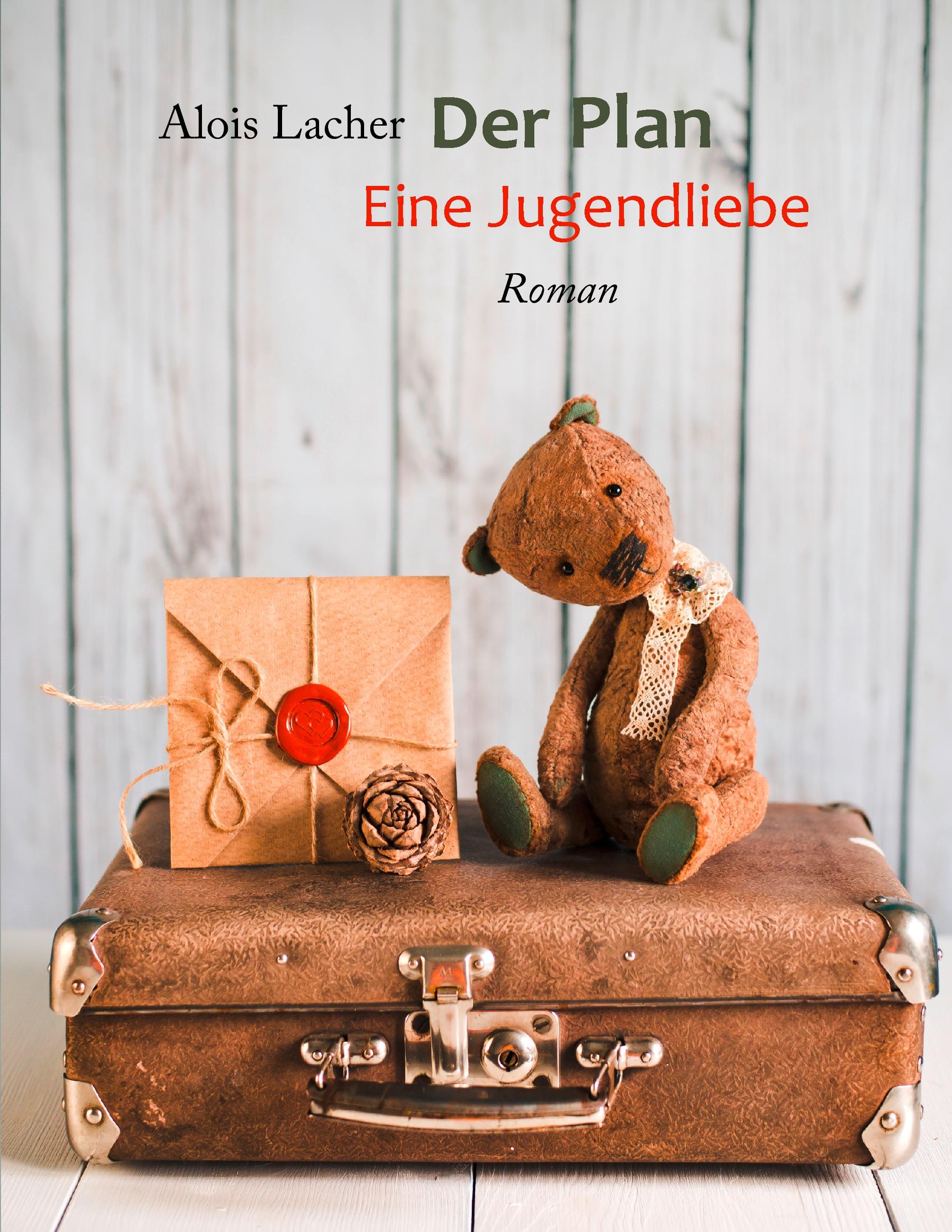 Vorderes Coverbild Der Plan