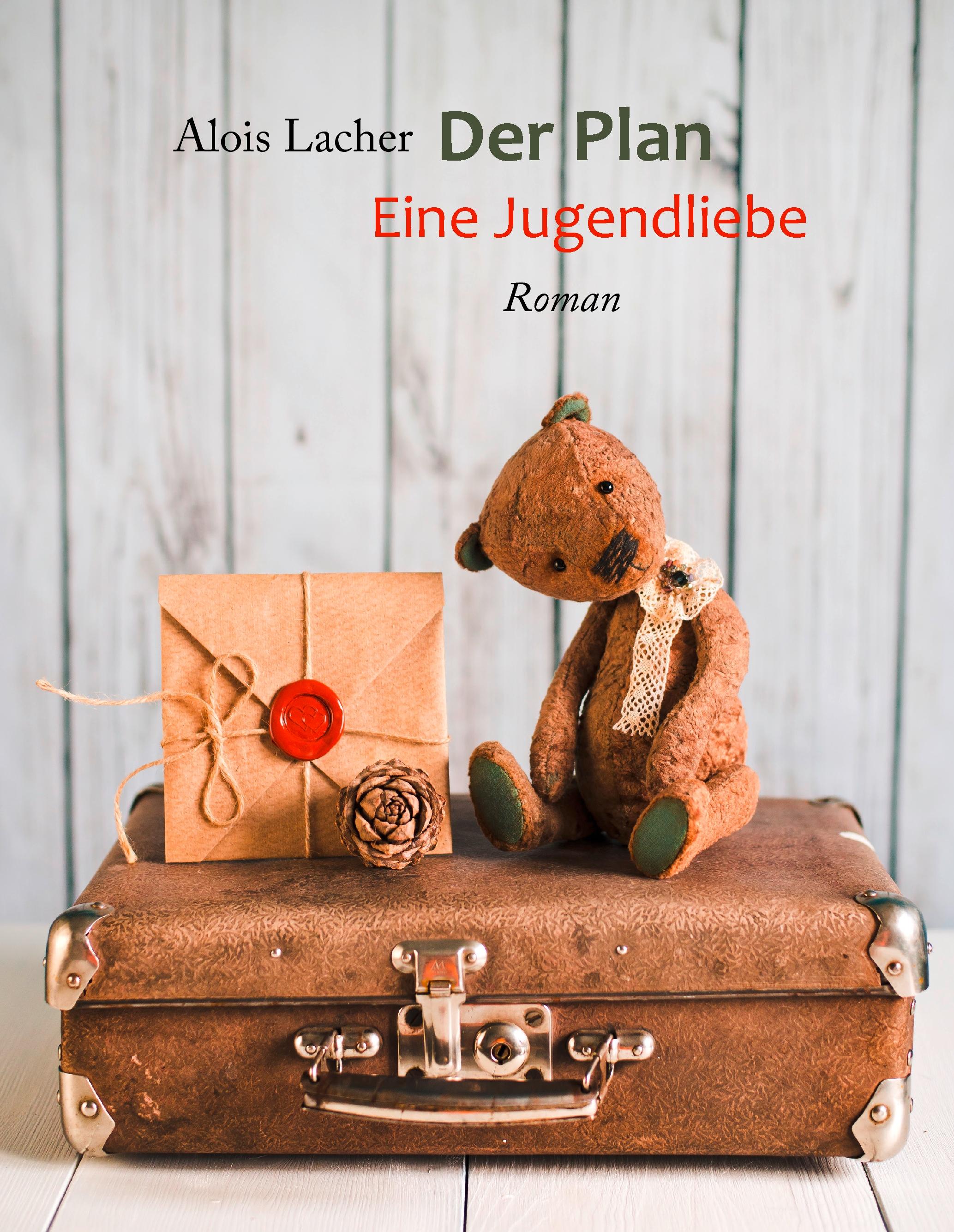 Vorderes Coverbild Der Plan