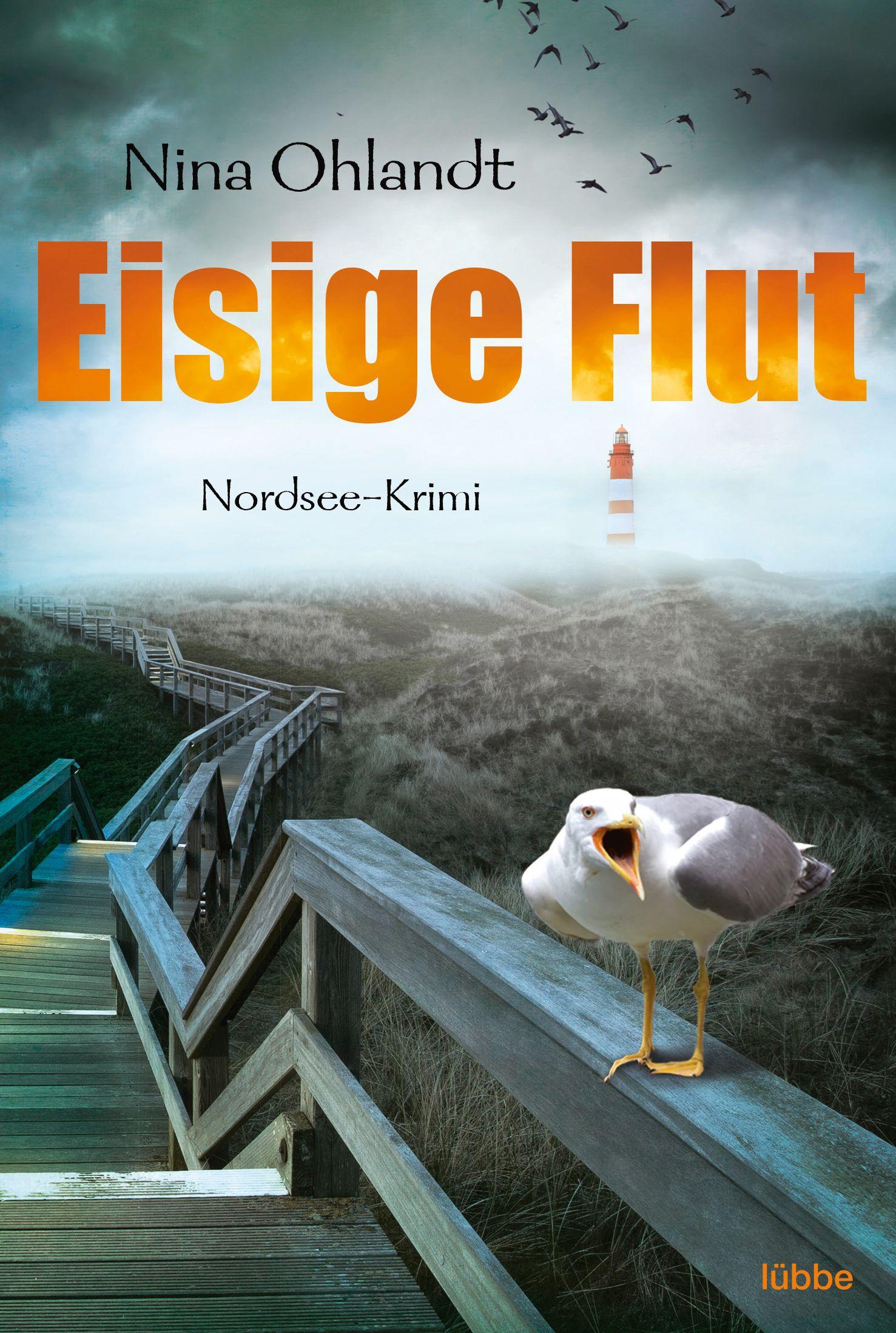 Vorderes Coverbild Eisige Flut