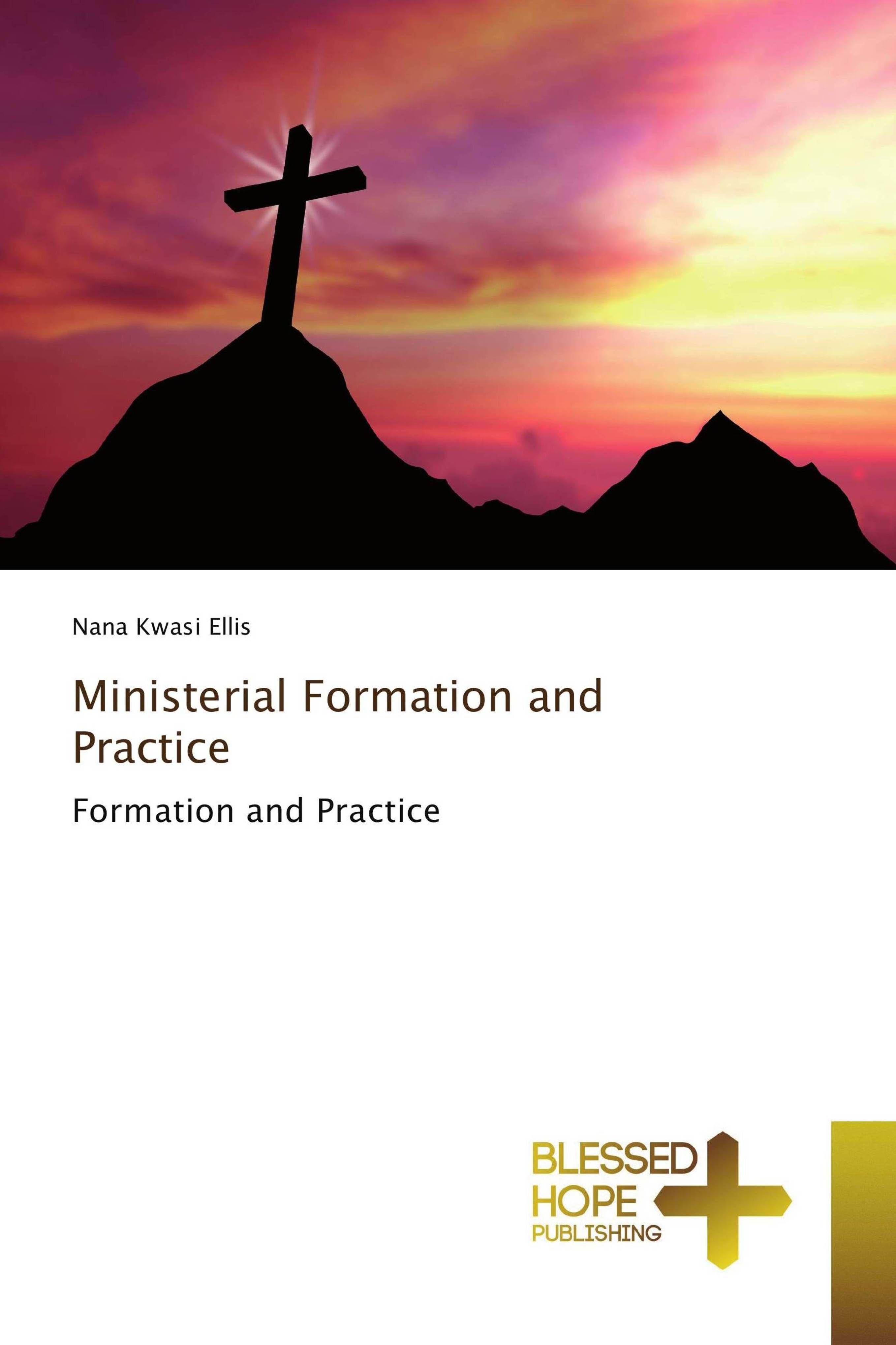 Vorderes Coverbild Ministerial Formation and Practice