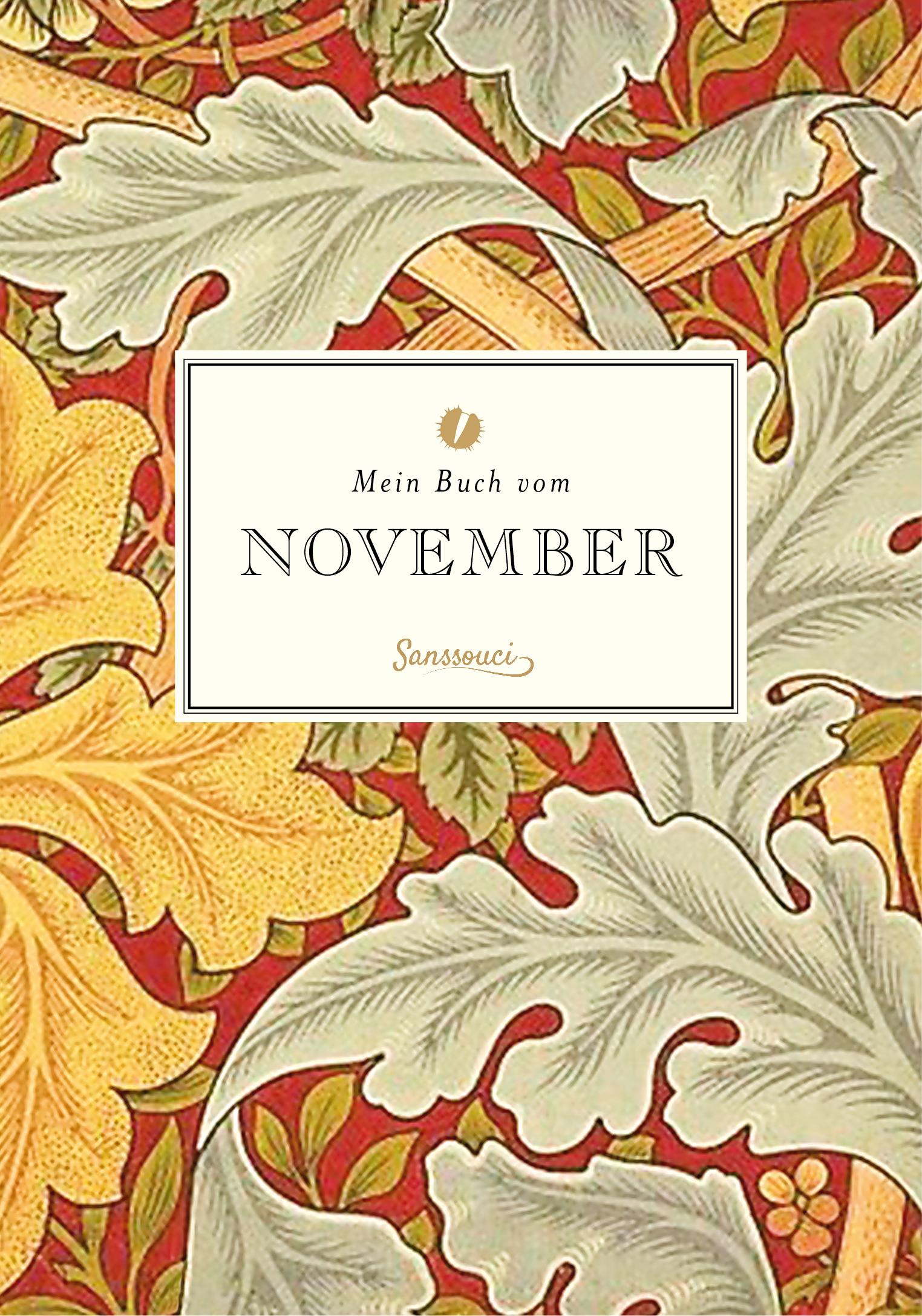 Vorderes Coverbild Mein Buch vom November