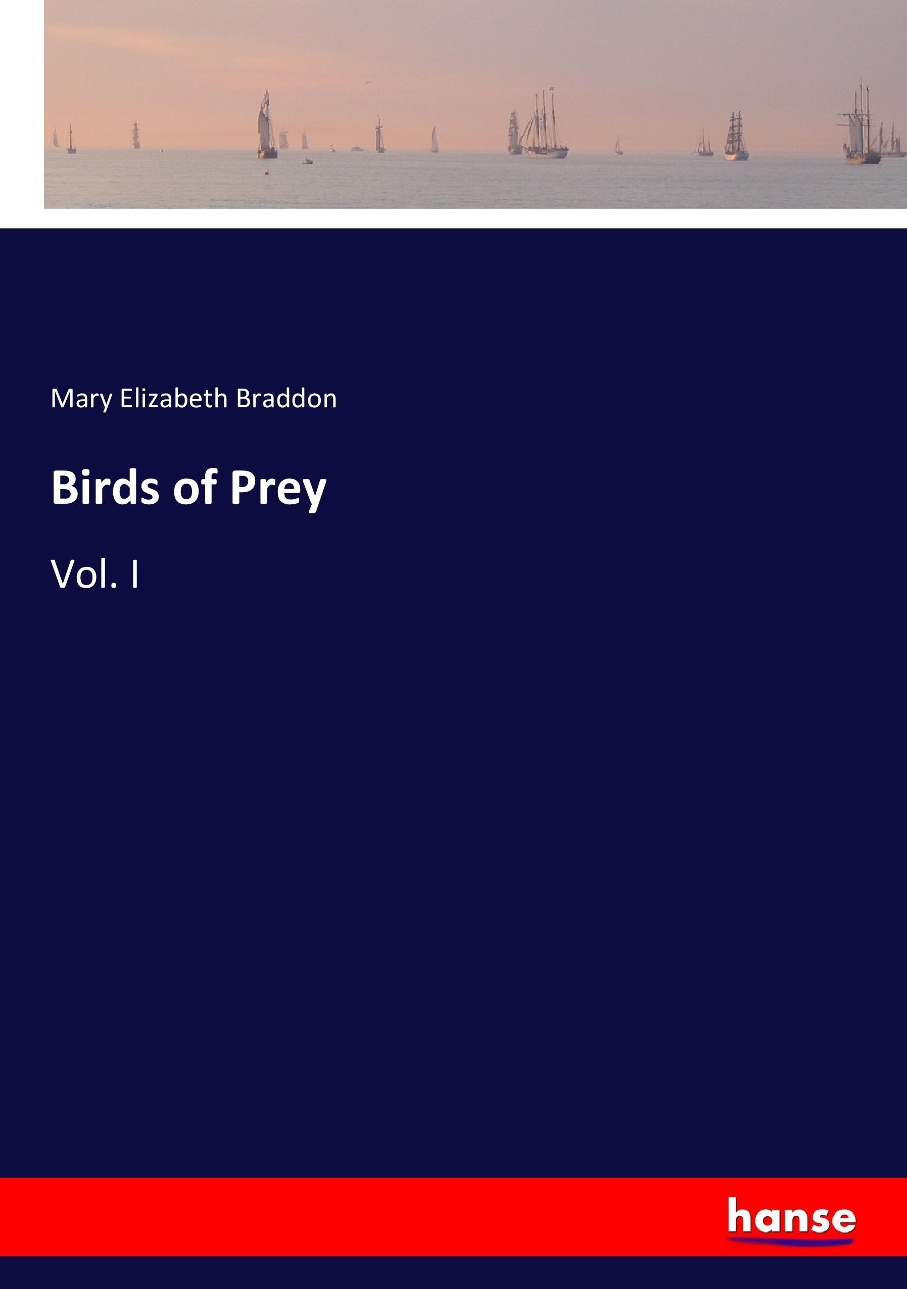 Vorderes Coverbild Birds of Prey