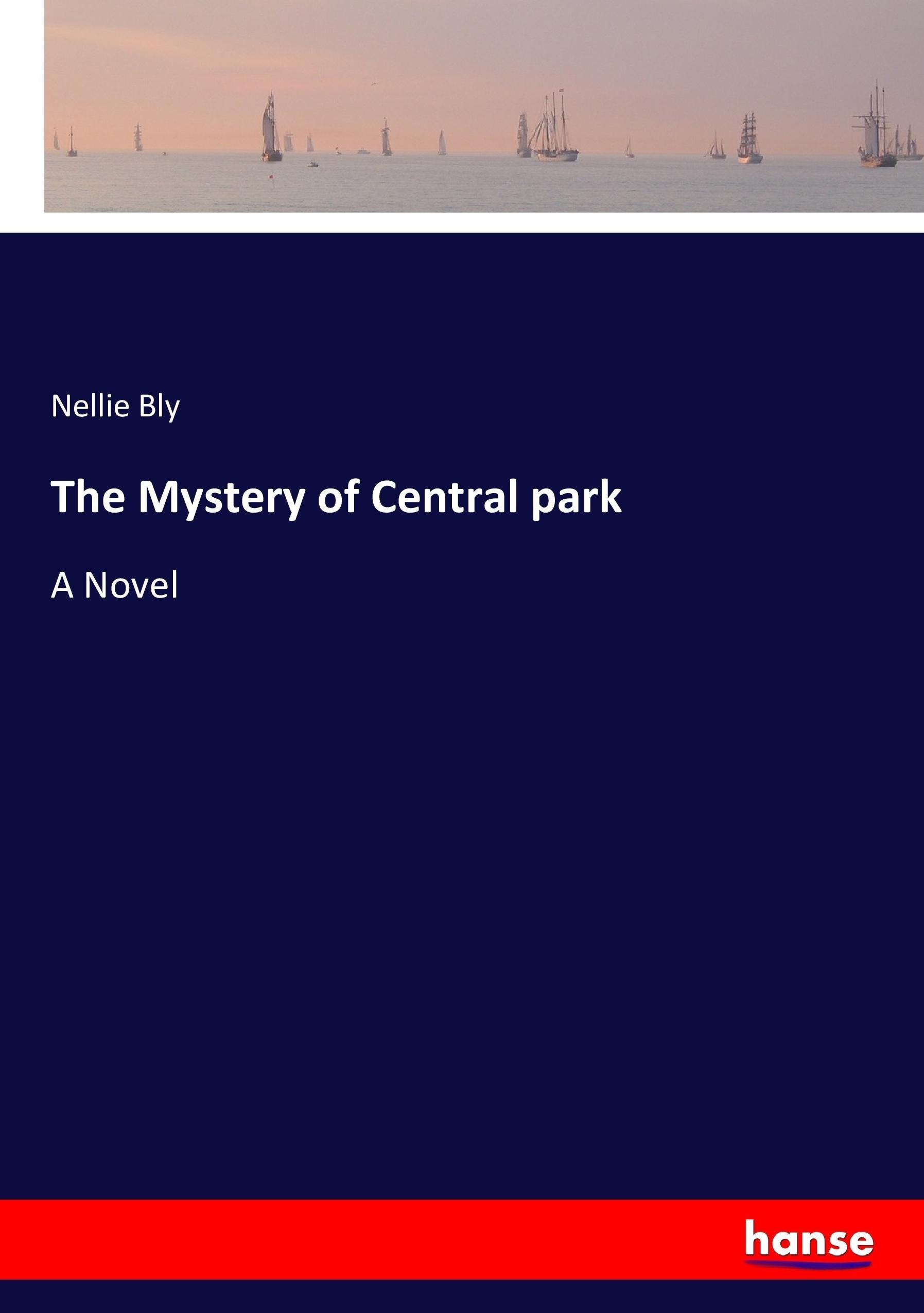 Vorderes Coverbild The Mystery of Central park