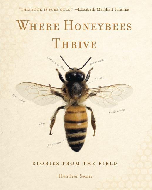 Vorderes Coverbild Where Honeybees Thrive