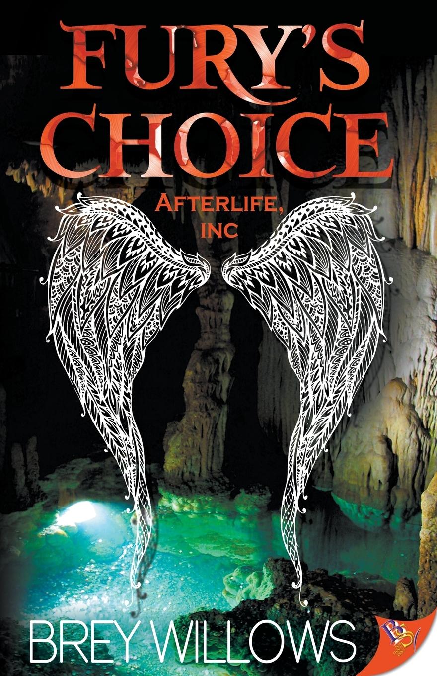 Vorderes Coverbild Fury's Choice
