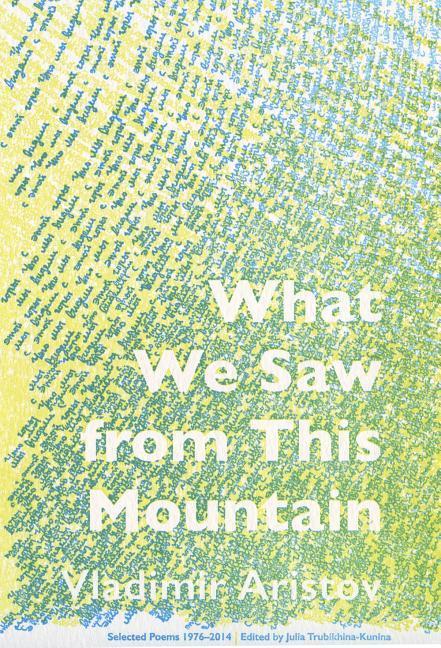 Vorderes Coverbild What We Saw From This Mountain