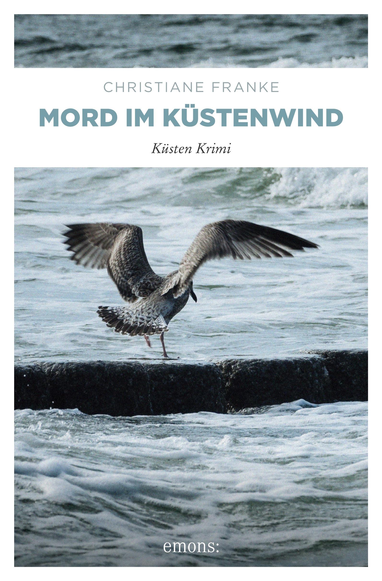 Vorderes Coverbild Mord im Küstenwind