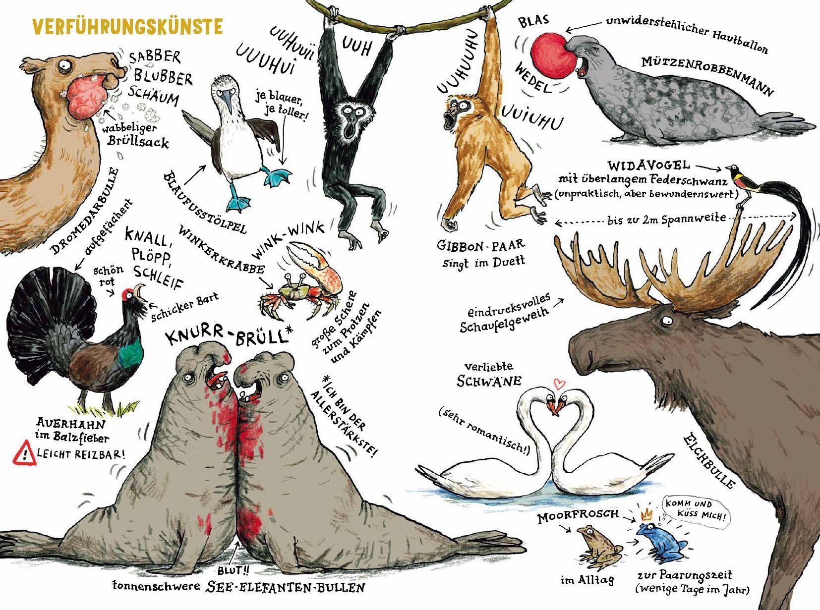 Beispielinhalt (Bild) Das Liebesleben der Tiere