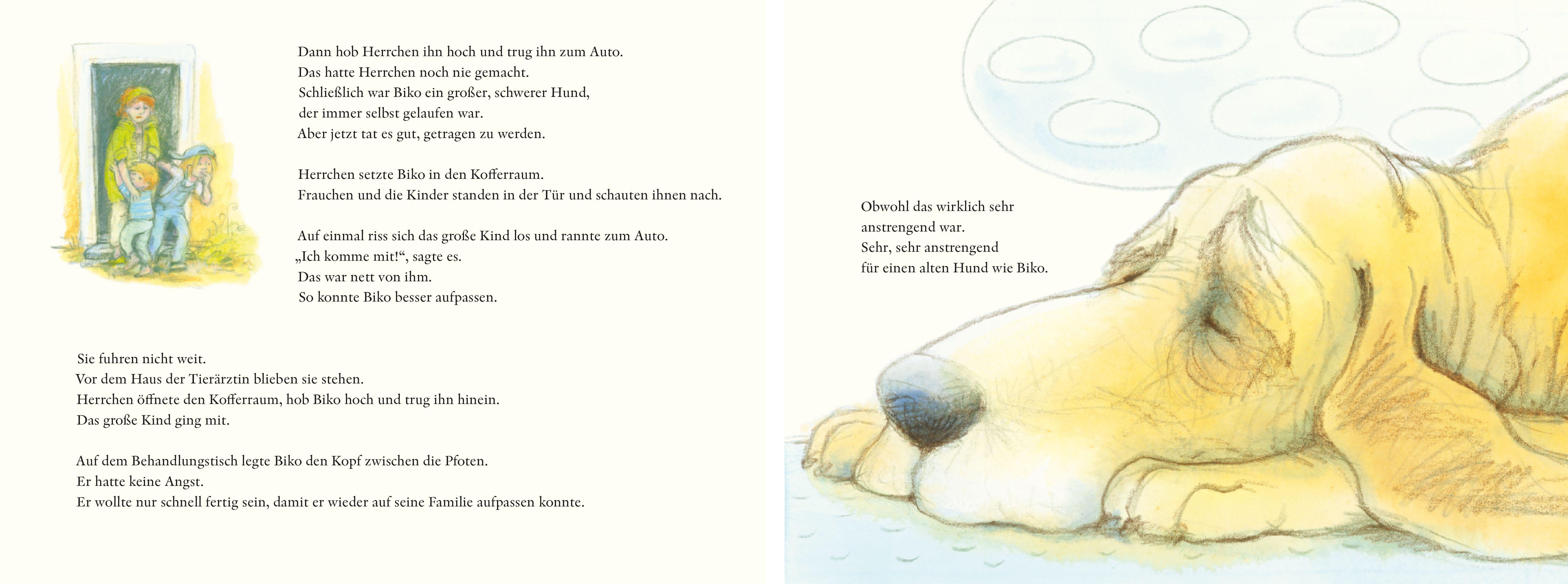 Beispielinhalt (Bild) Bikos letzter Tag