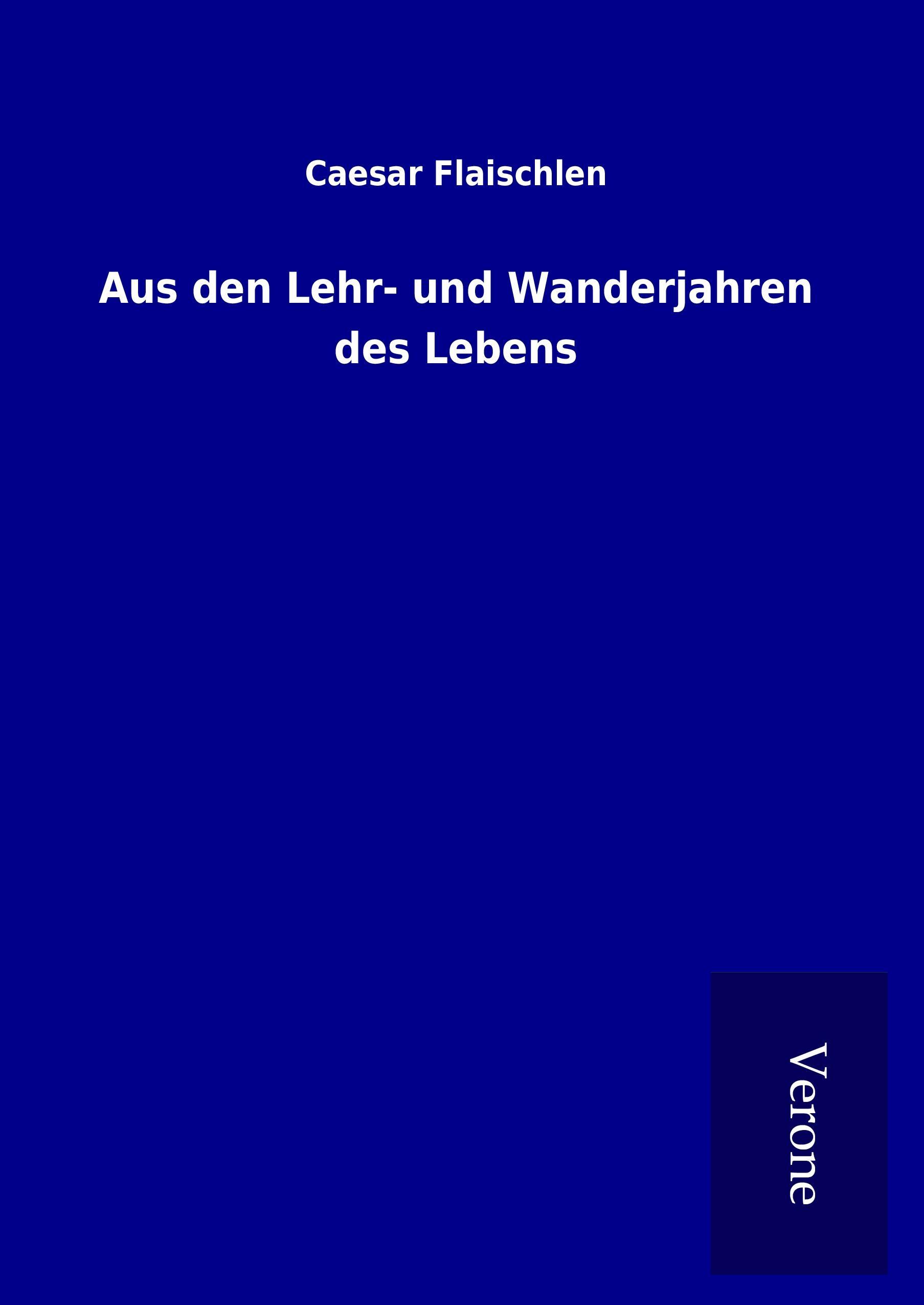 Vorderes Coverbild Aus den Lehr- und Wanderjahren des Lebens