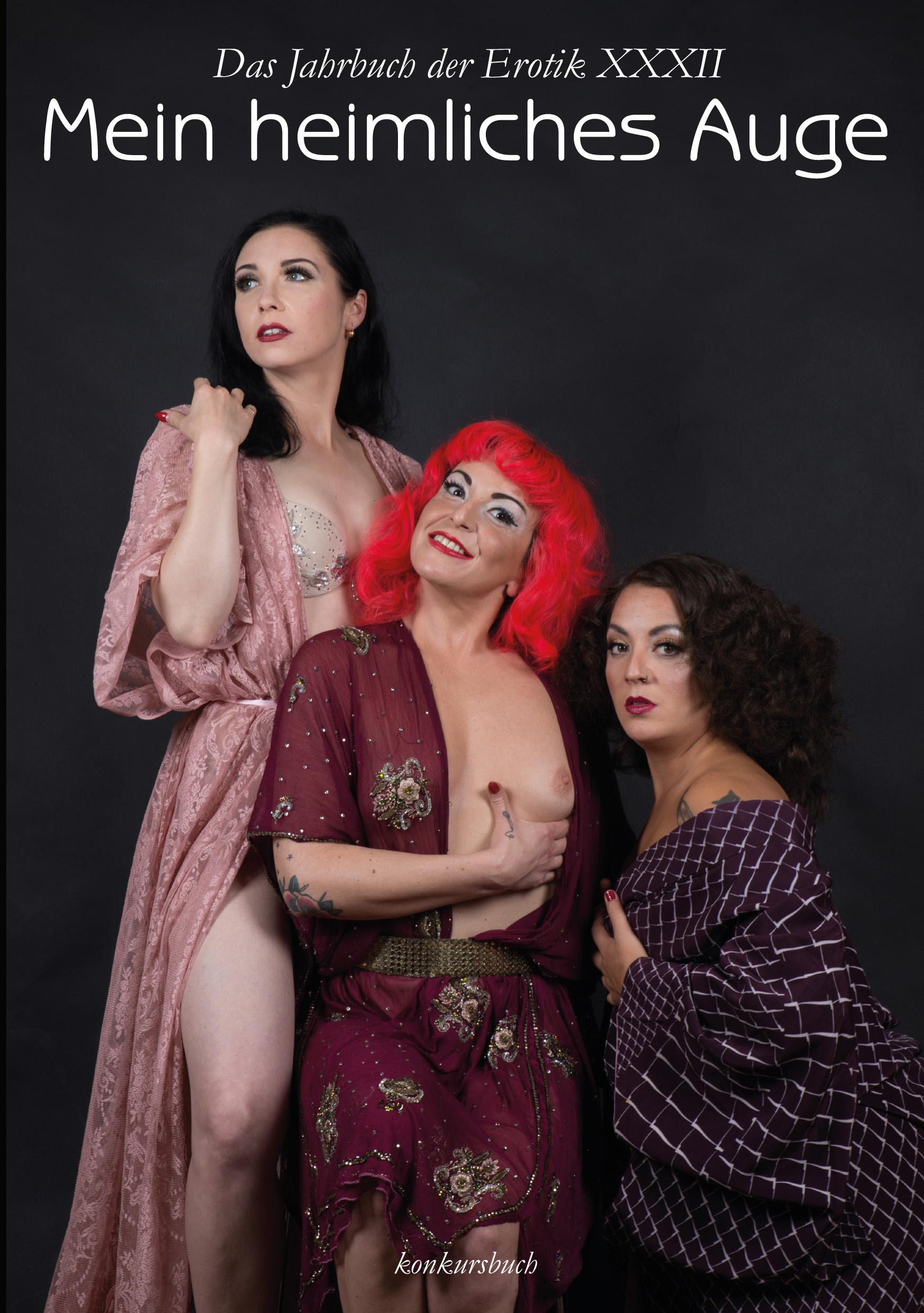 Vorderes Coverbild Mein heimliches Auge 32