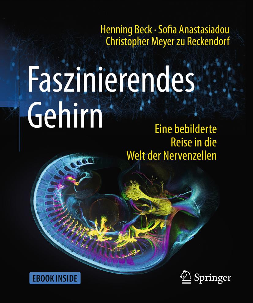 Vorderes Coverbild Faszinierendes Gehirn