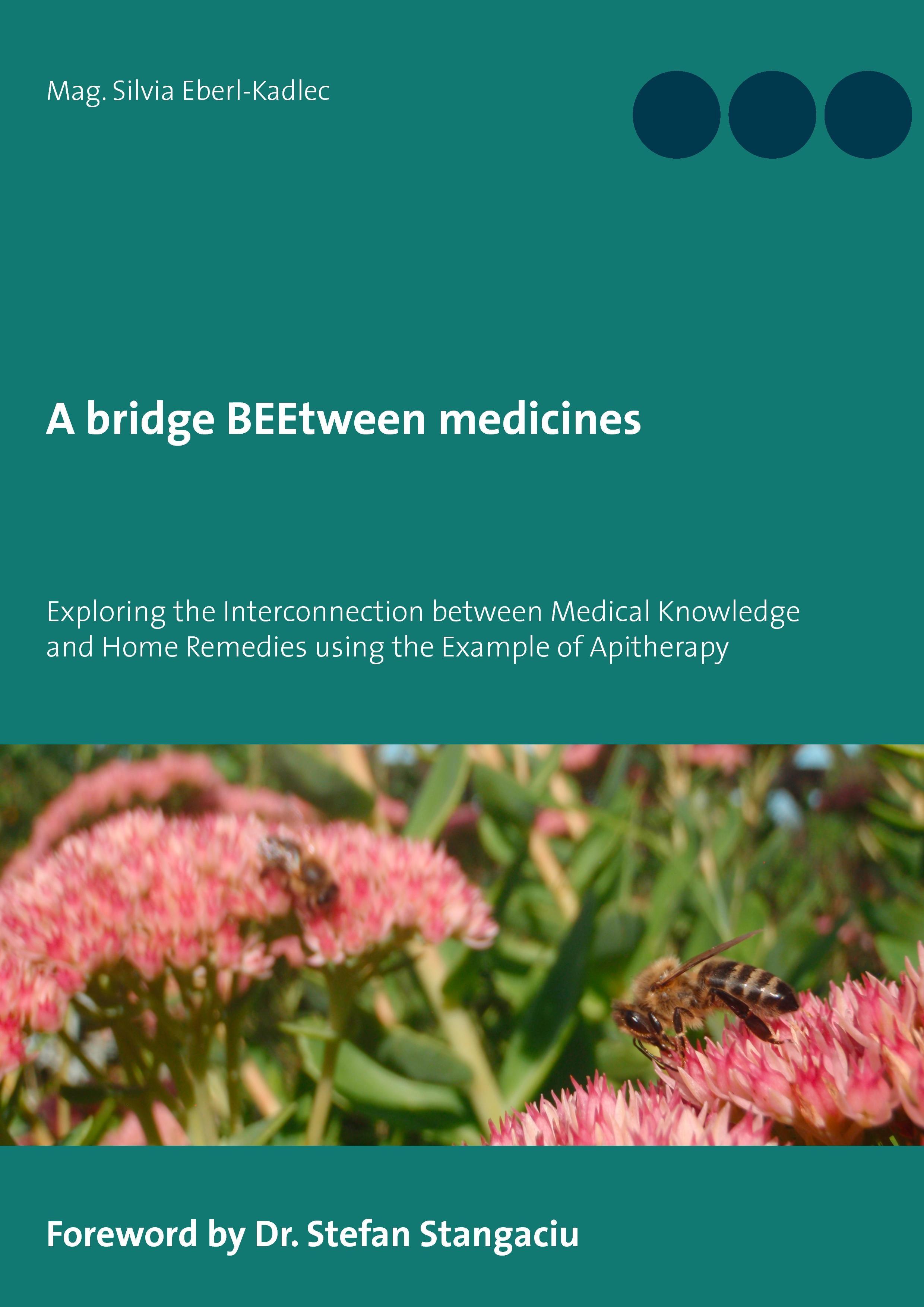 Vorderes Coverbild A bridge BEEtween medicines