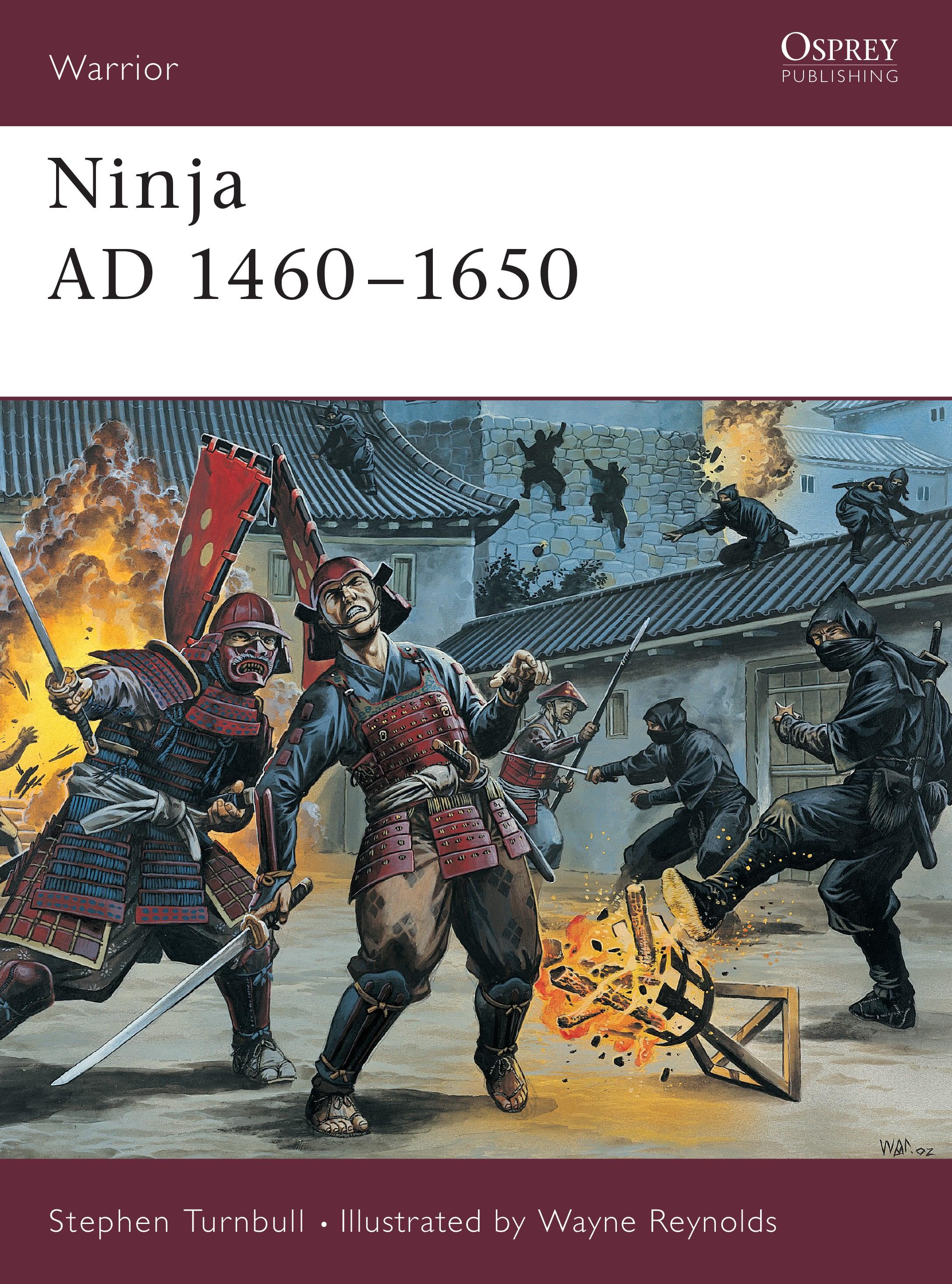 Vorderes Coverbild Ninja Ad 1460-1650