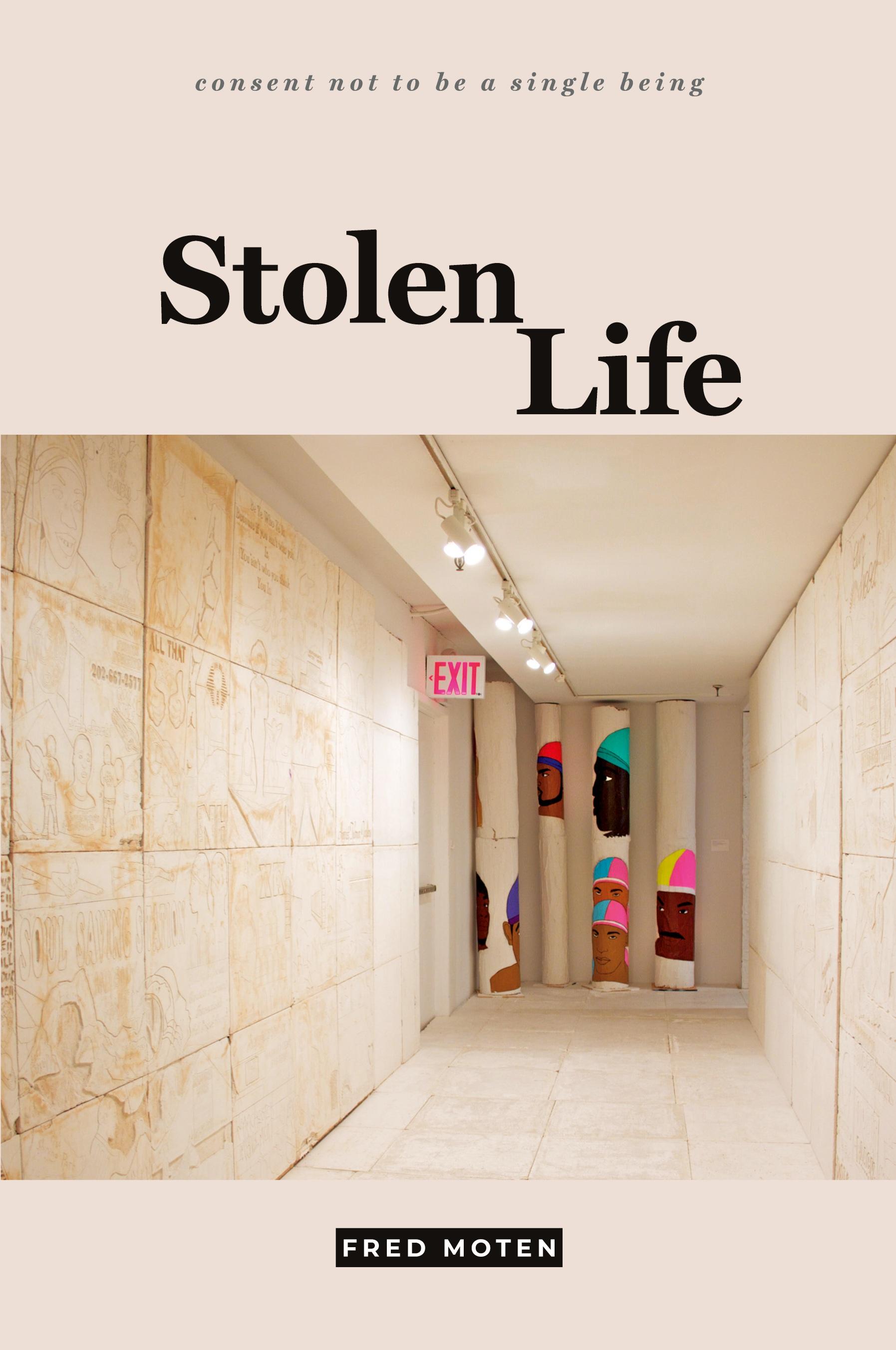 Vorderes Coverbild Stolen Life