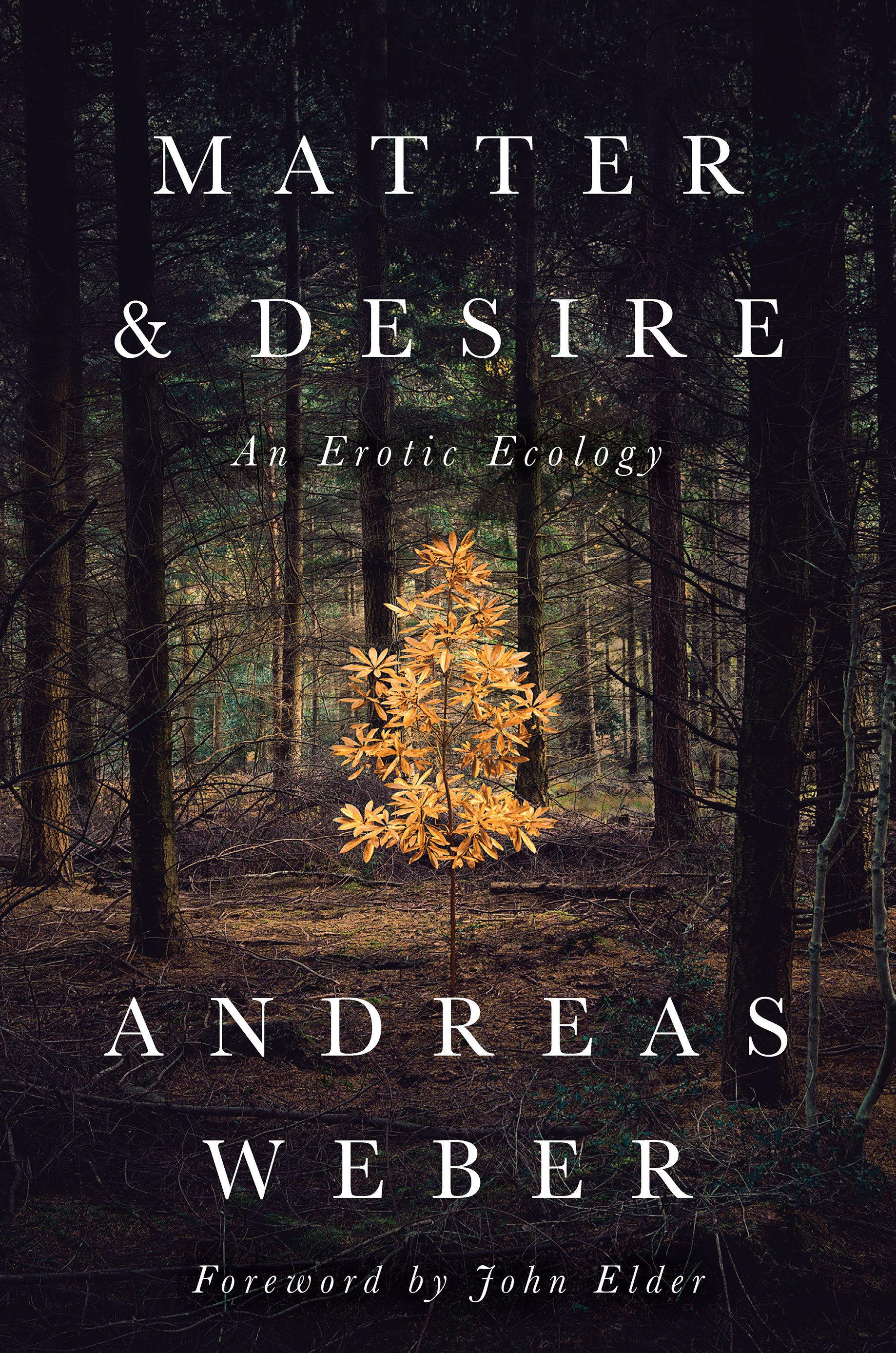 Vorderes Coverbild Matter and Desire