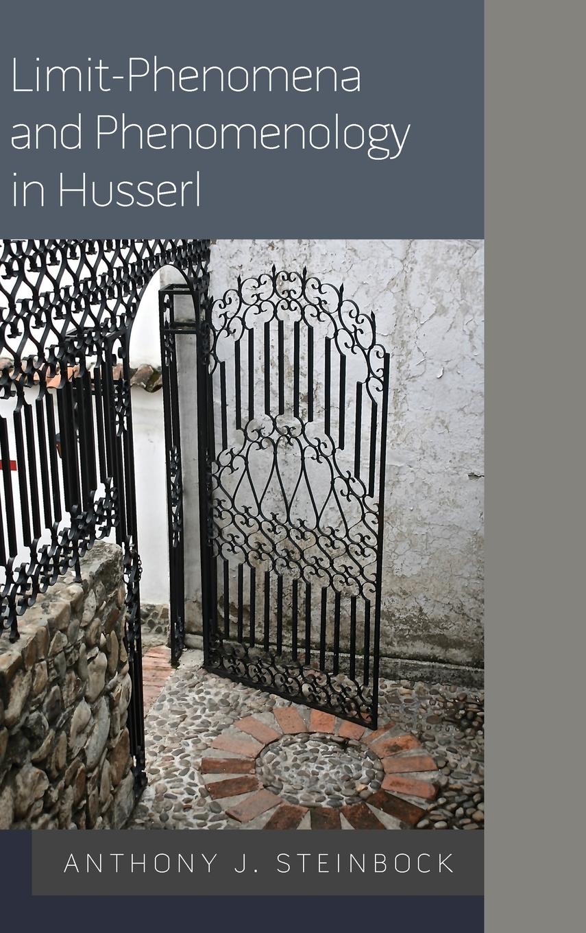 Vorderes Coverbild Limit-Phenomena and Phenomenology in Husserl