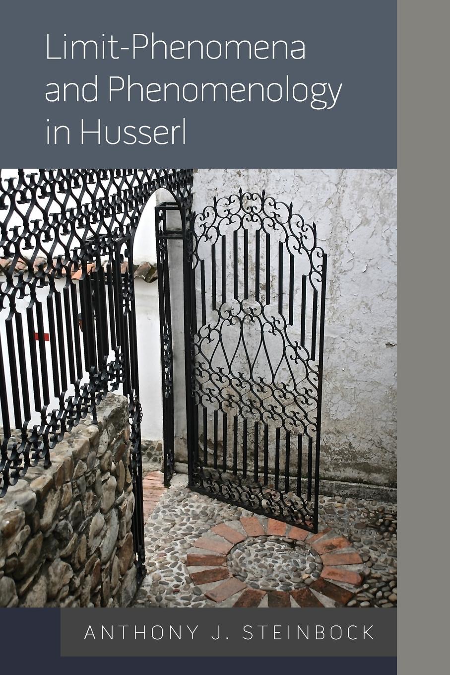 Vorderes Coverbild Limit-Phenomena and Phenomenology in Husserl