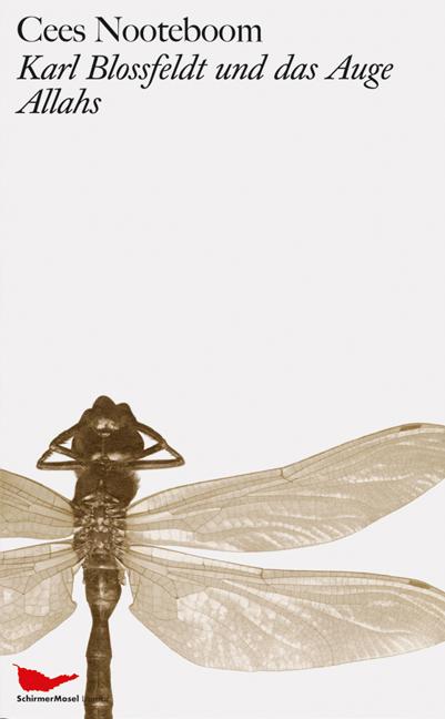 Vorderes Coverbild Karl Blossfeldt und das Auge Allahs
