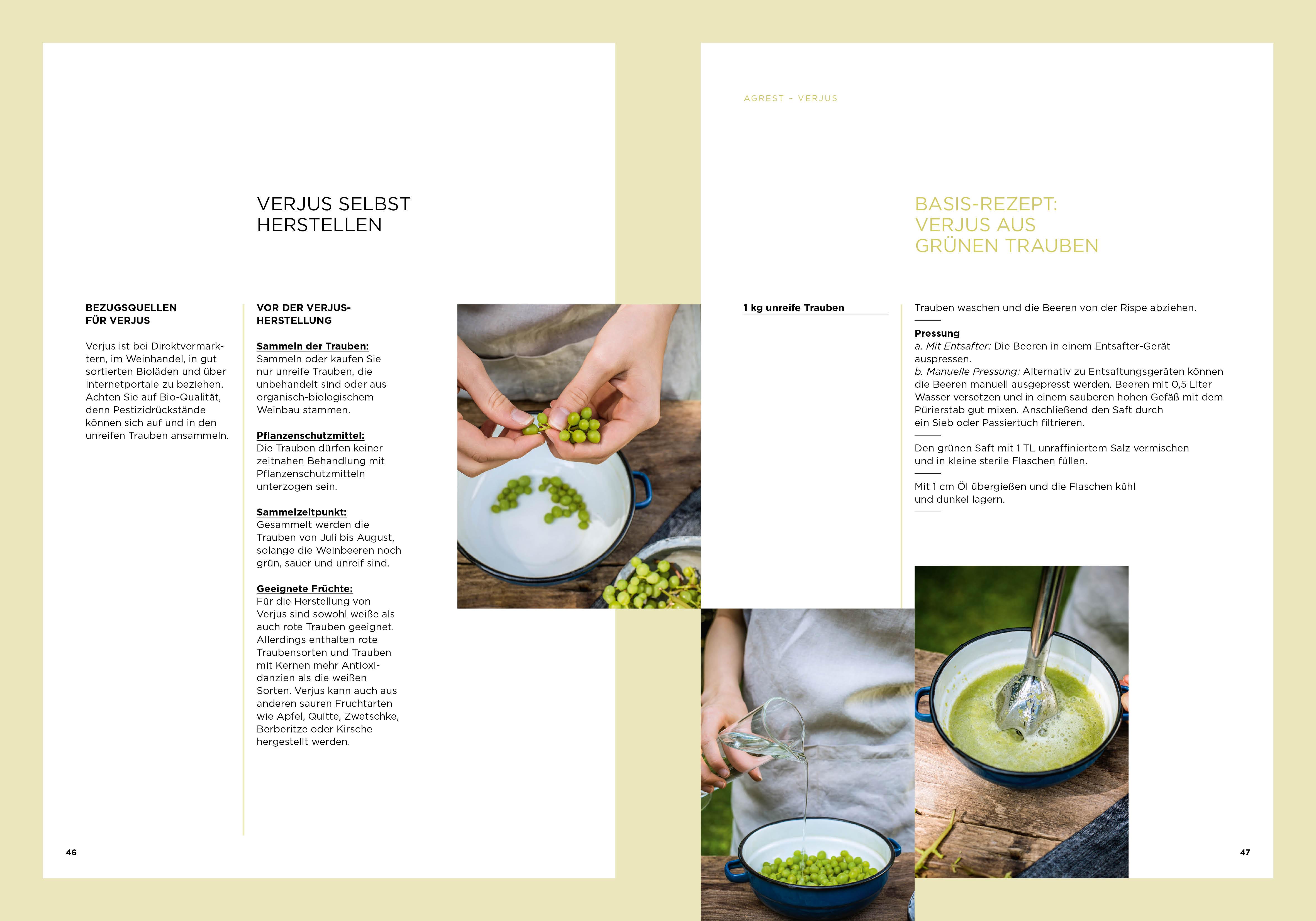 Beispielinhalt (Bild) Vergessene Heiltinkturen