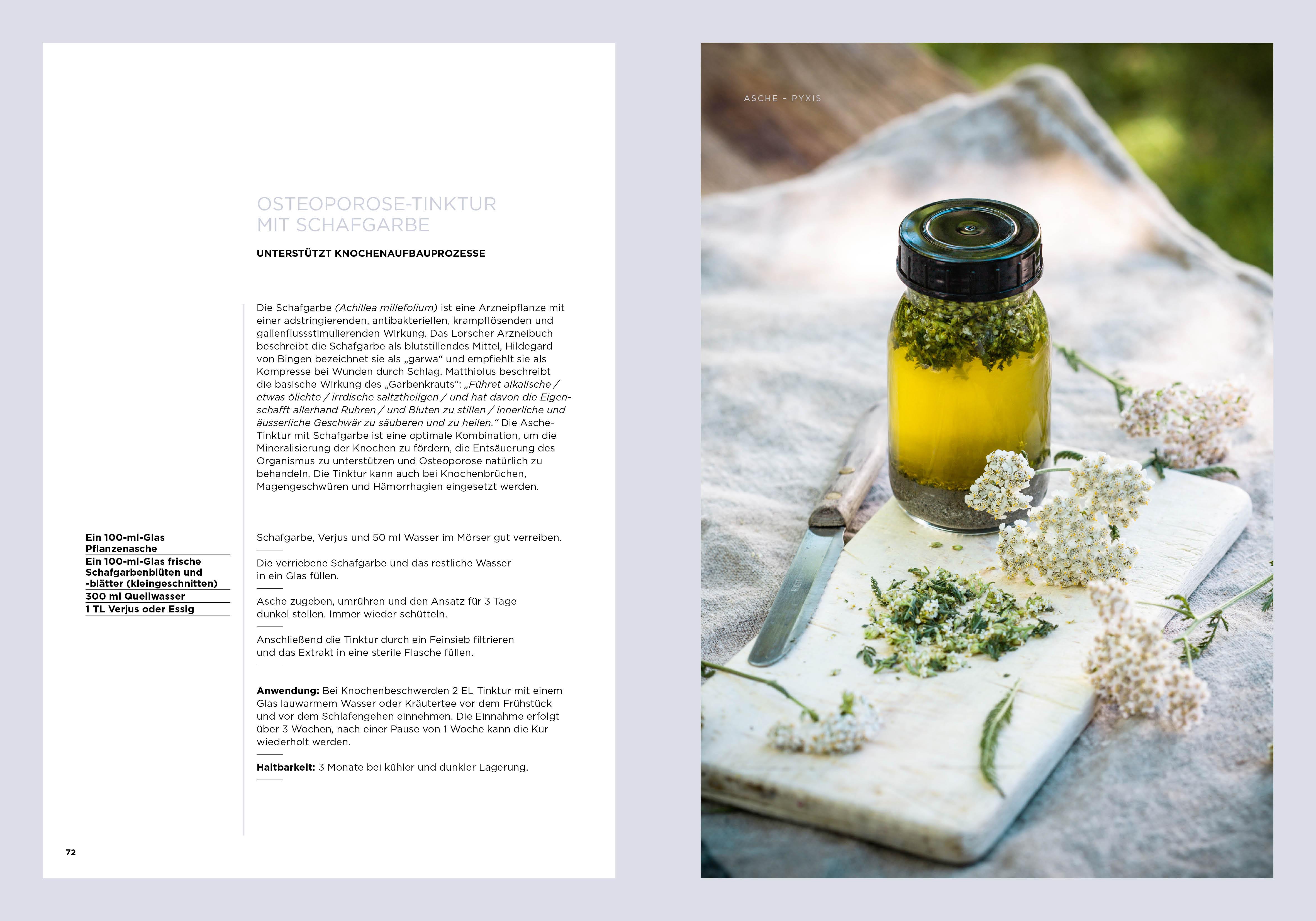 Beispielinhalt (Bild) Vergessene Heiltinkturen