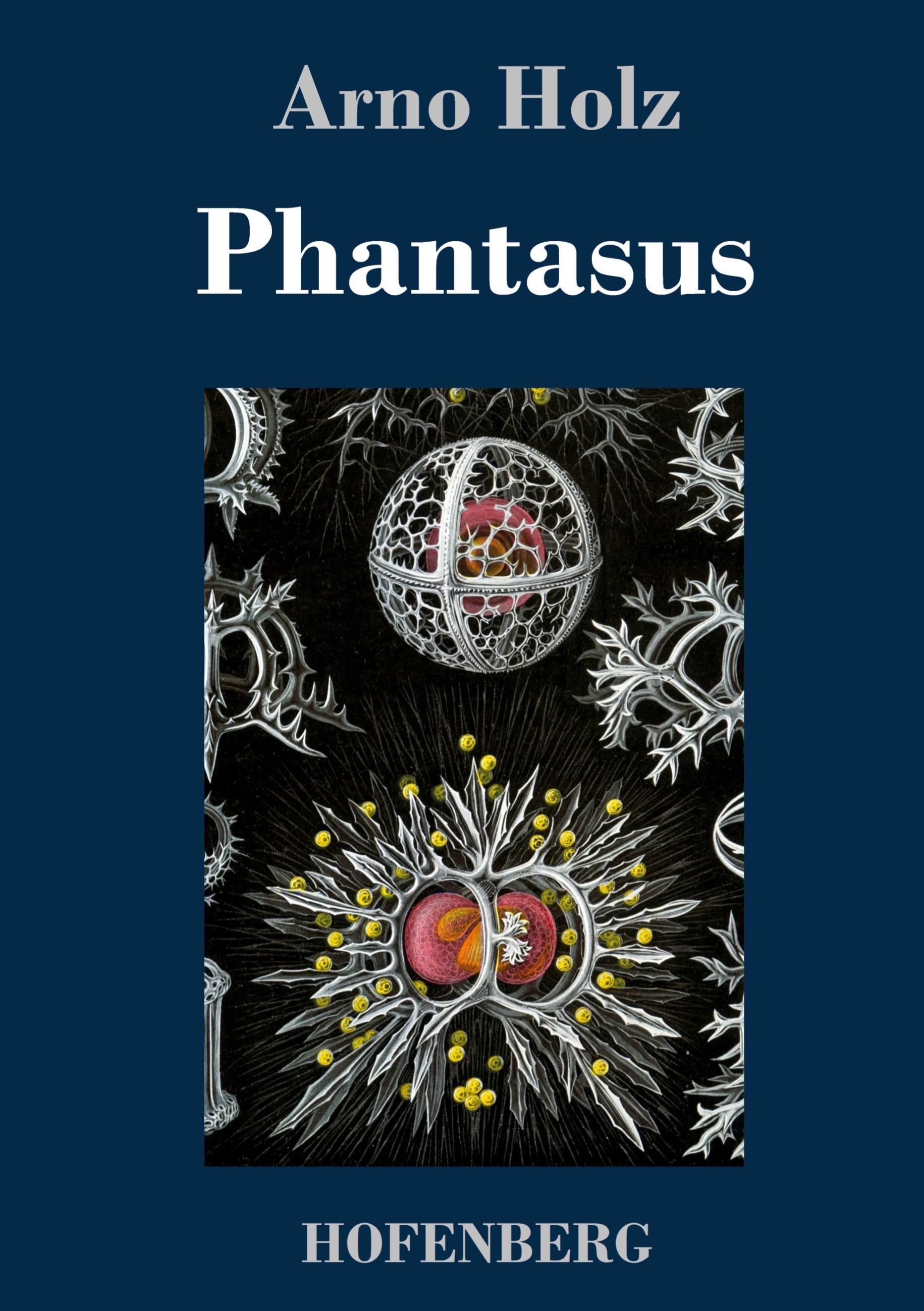 Vorderes Coverbild Phantasus