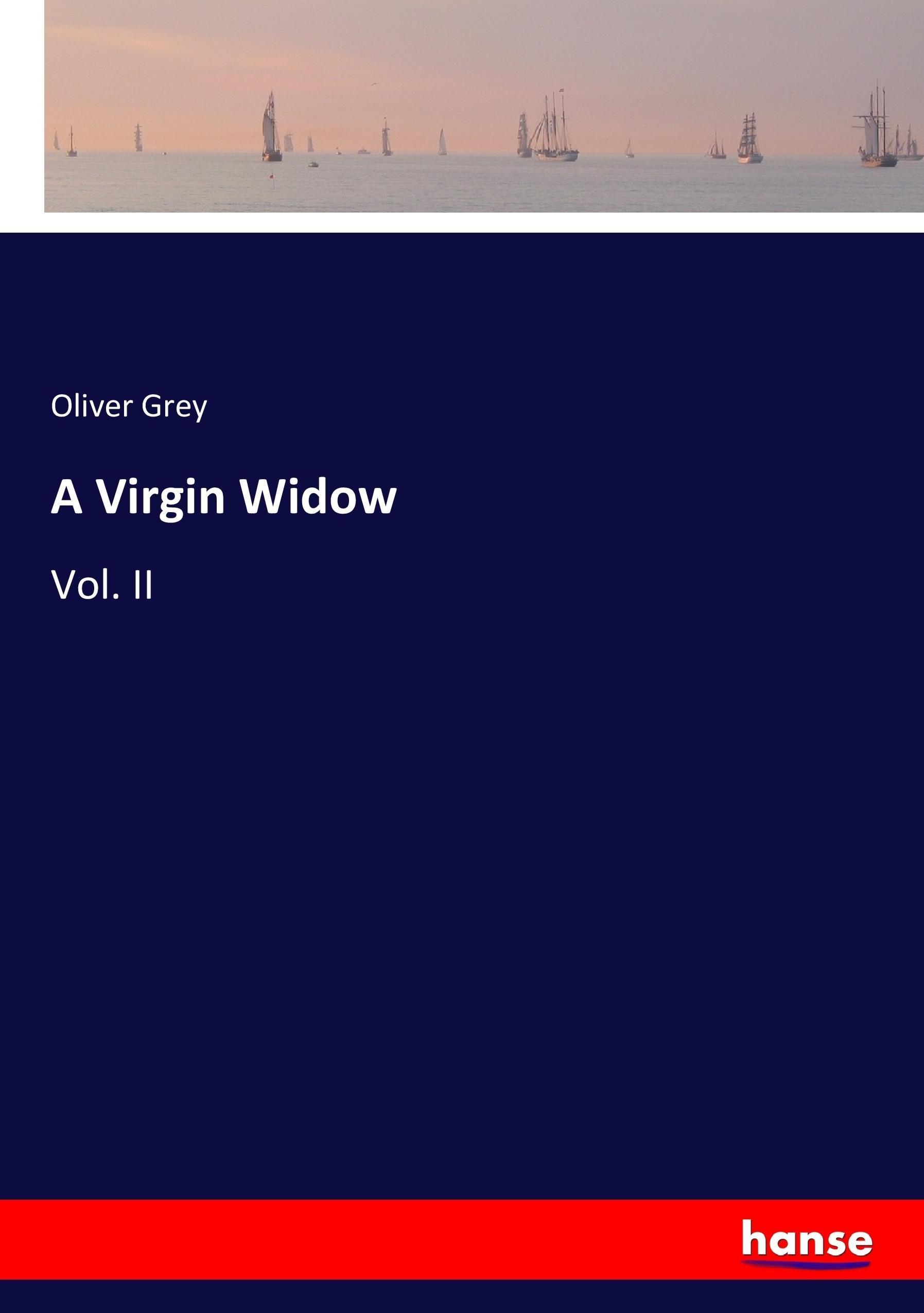 Vorderes Coverbild A Virgin Widow