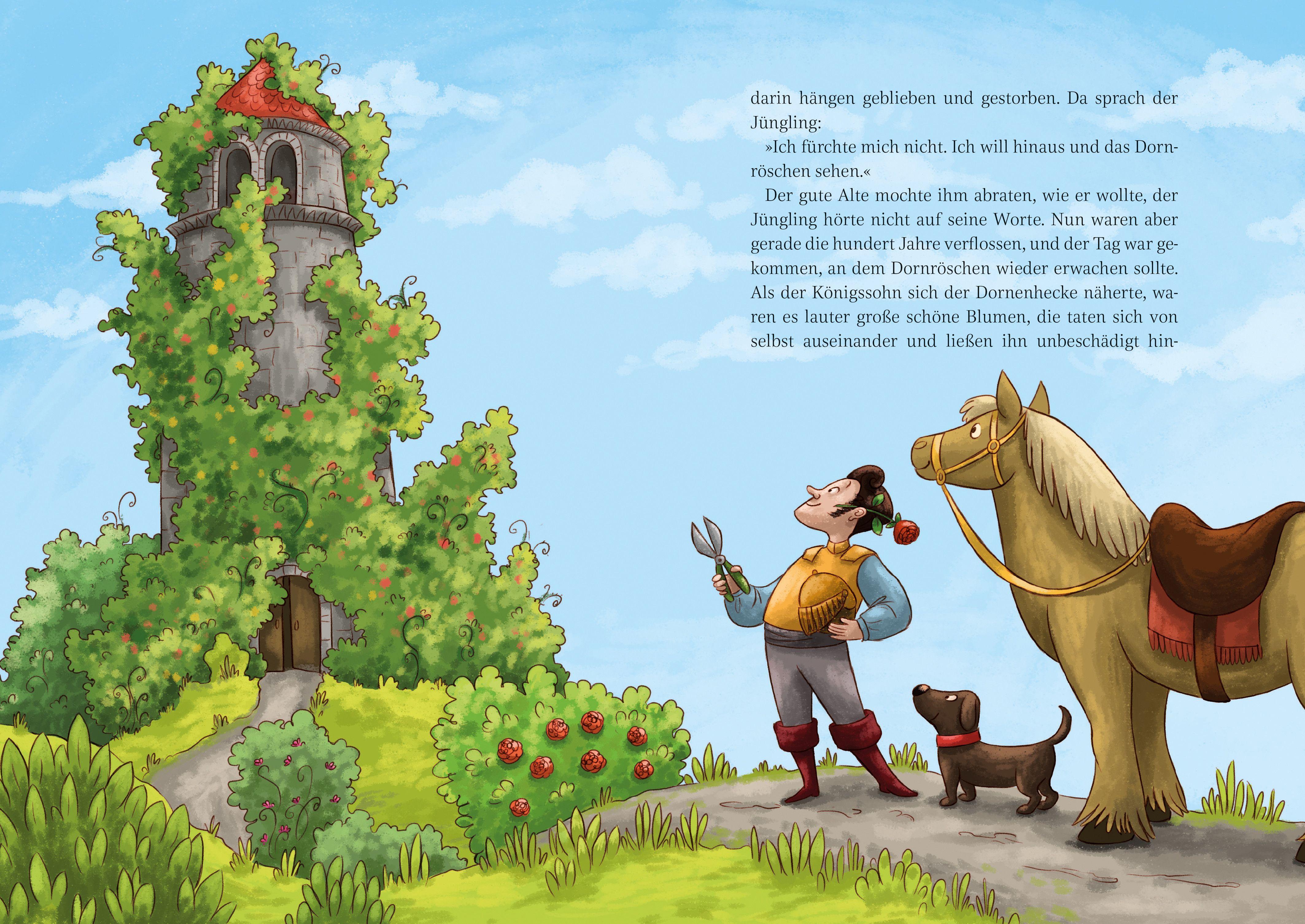 Beispielinhalt (Bild) Die schönsten Märchen der Brüder Grimm, mit MP3-CD