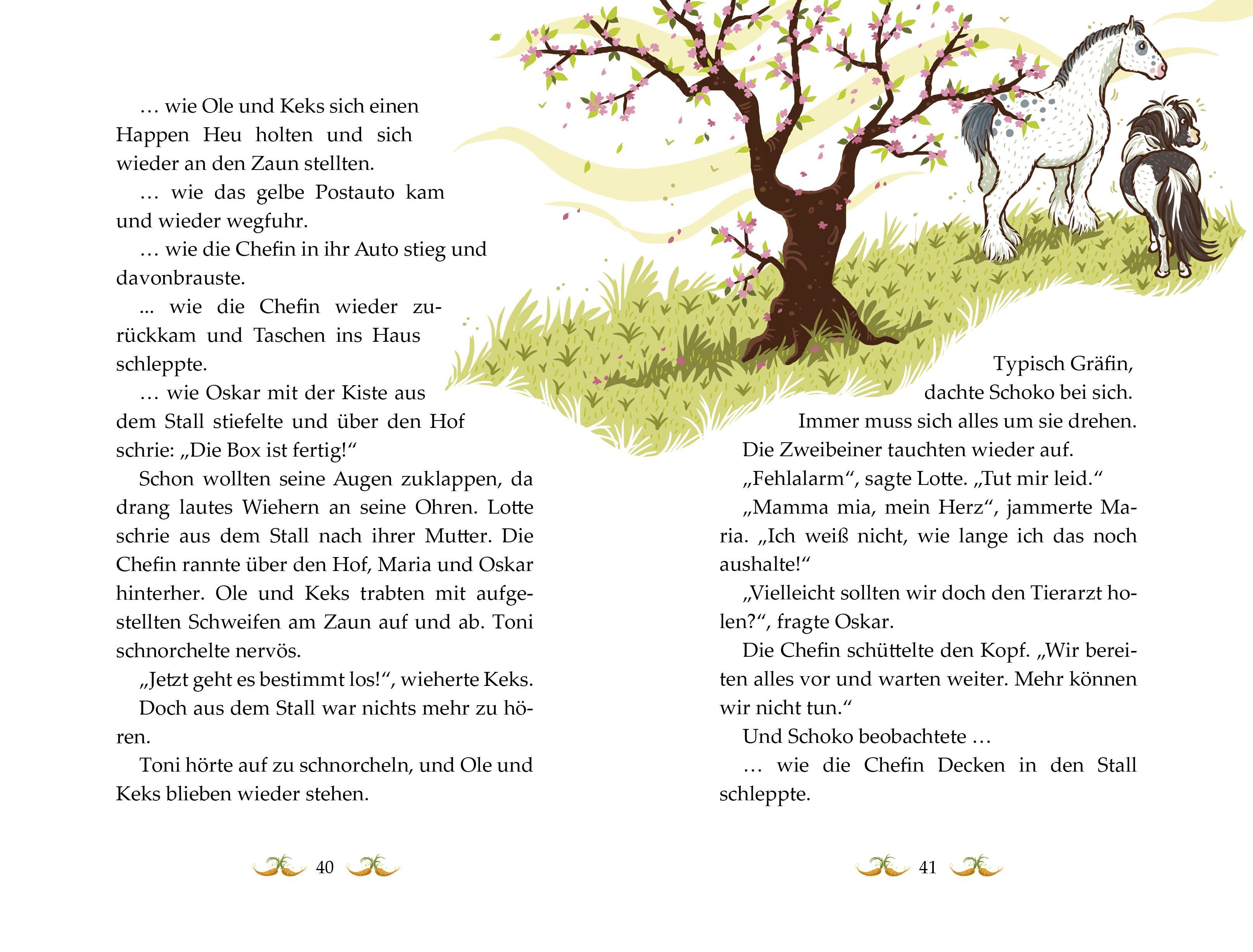 Beispielinhalt (Bild) Die Haferhorde 08 - So ein Fohlentheater!