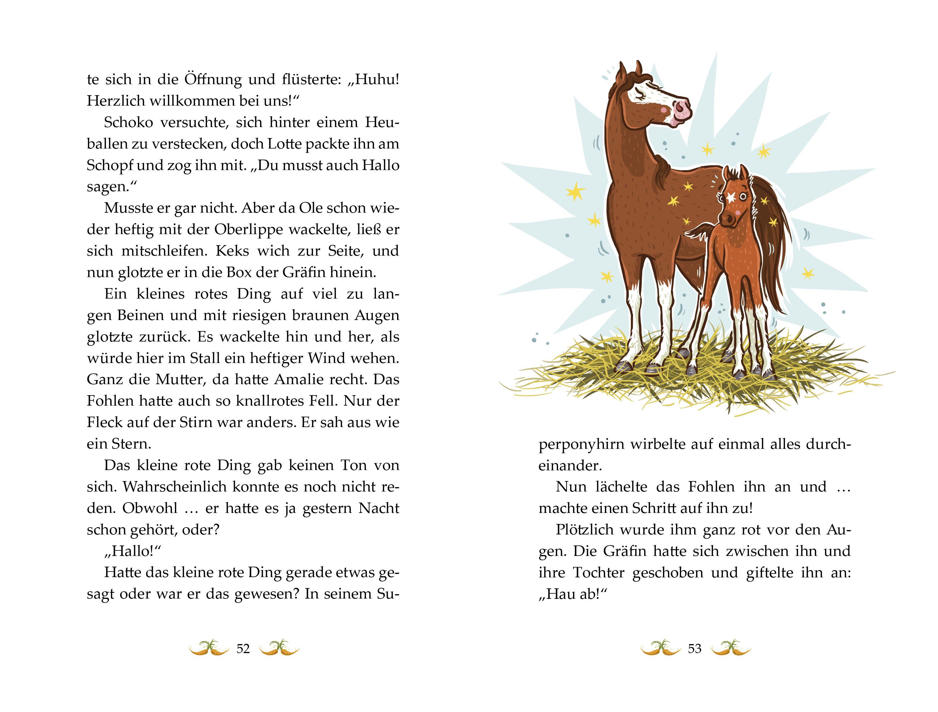 Beispielinhalt (Bild) Die Haferhorde 08 - So ein Fohlentheater!