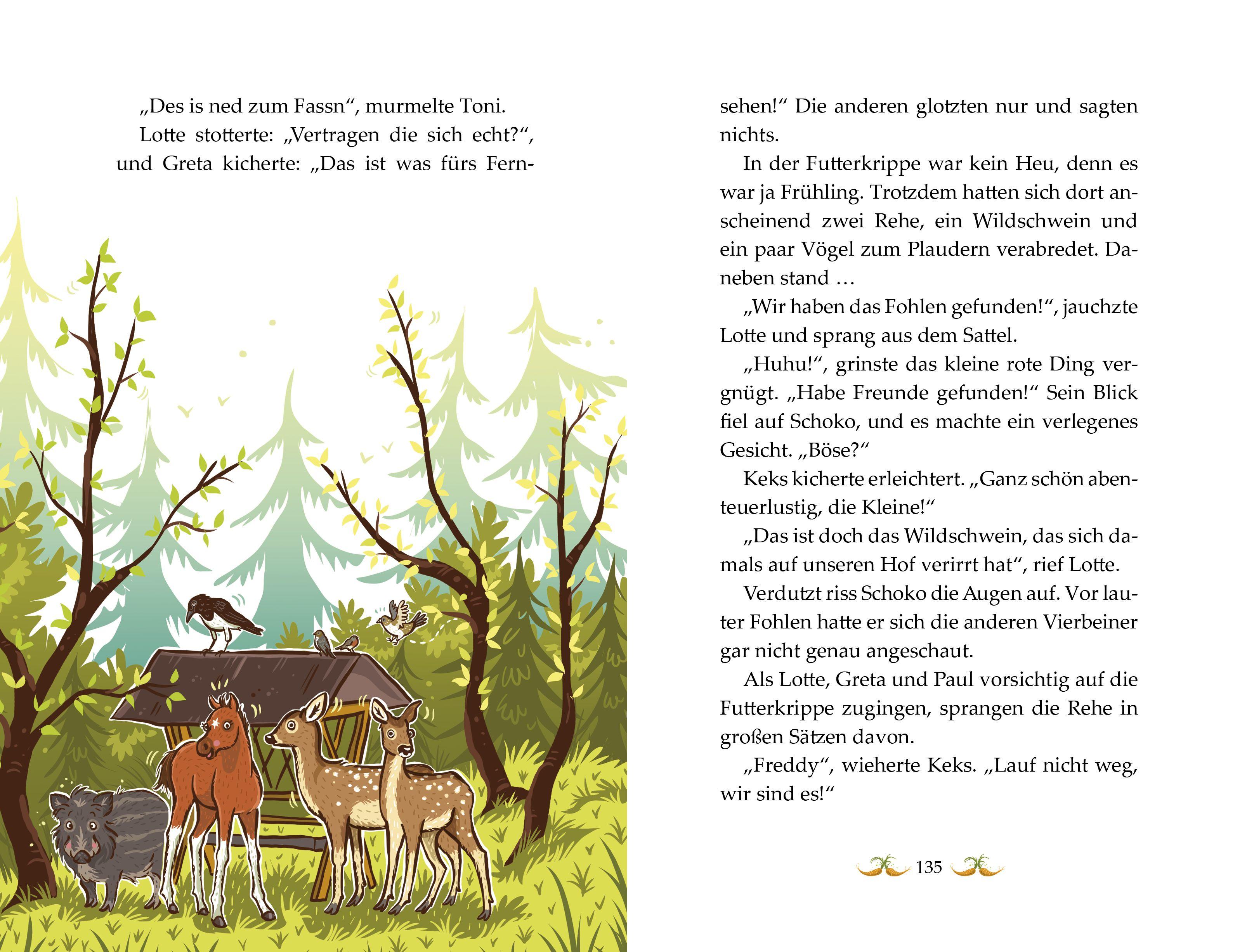 Beispielinhalt (Bild) Die Haferhorde 08 - So ein Fohlentheater!