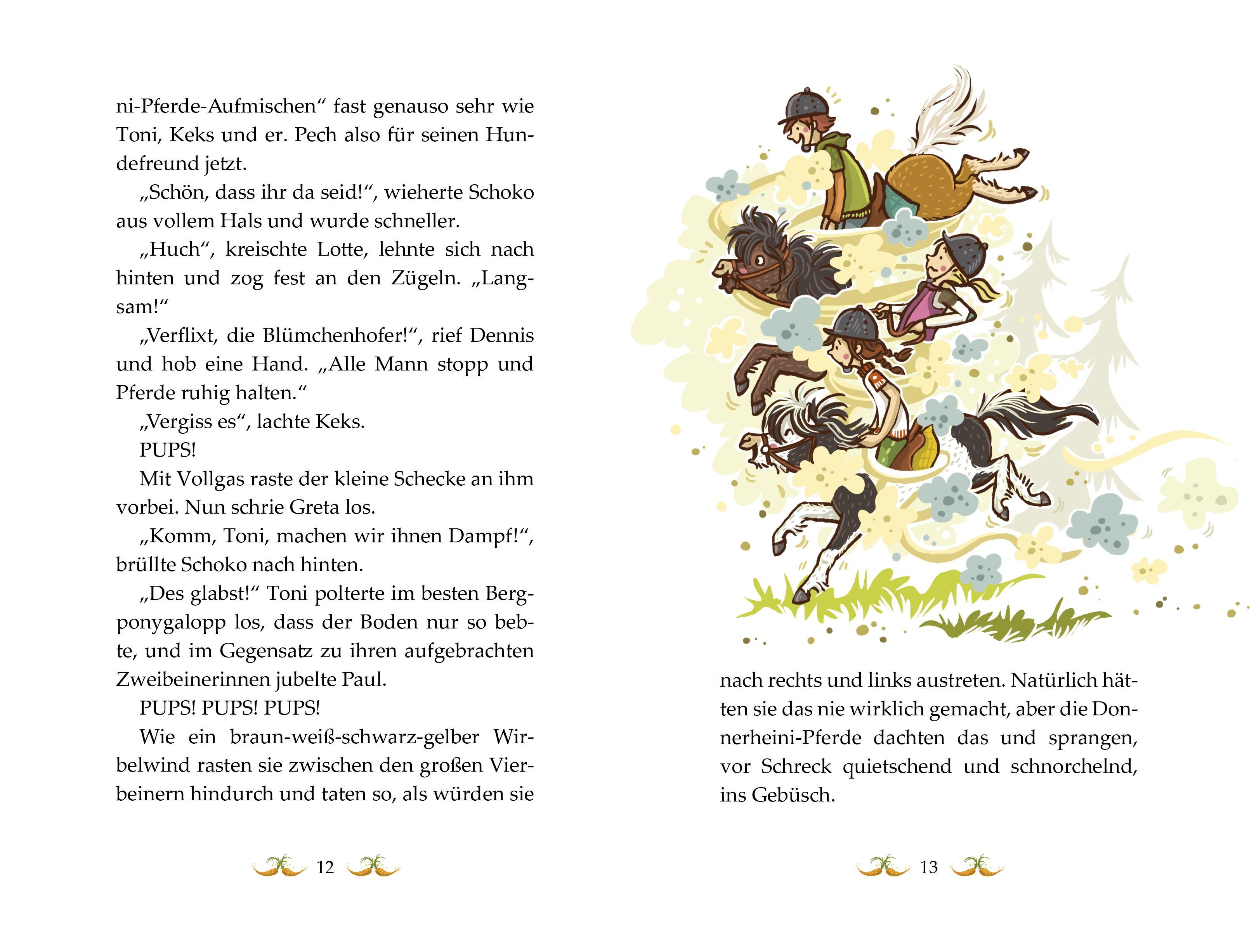 Beispielinhalt (Bild) Die Haferhorde 08 - So ein Fohlentheater!