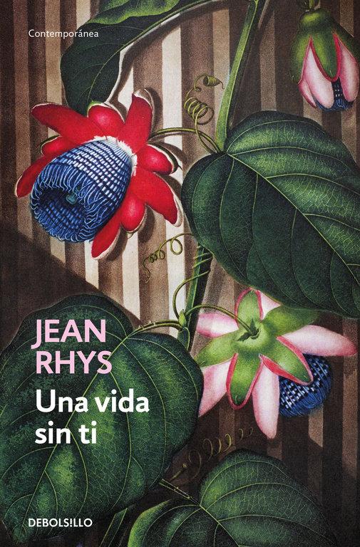 Vorderes Coverbild Una vida sin ti