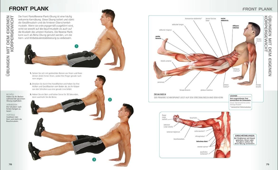 Beispielinhalt (Bild) Die Anatomie des gerätelosen Workouts