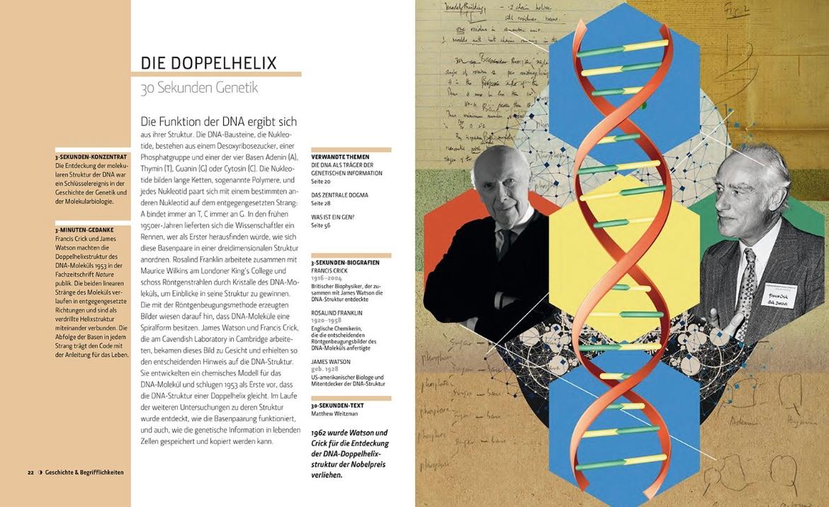 Beispielinhalt (Bild) Genetik in 30 Sekunden
