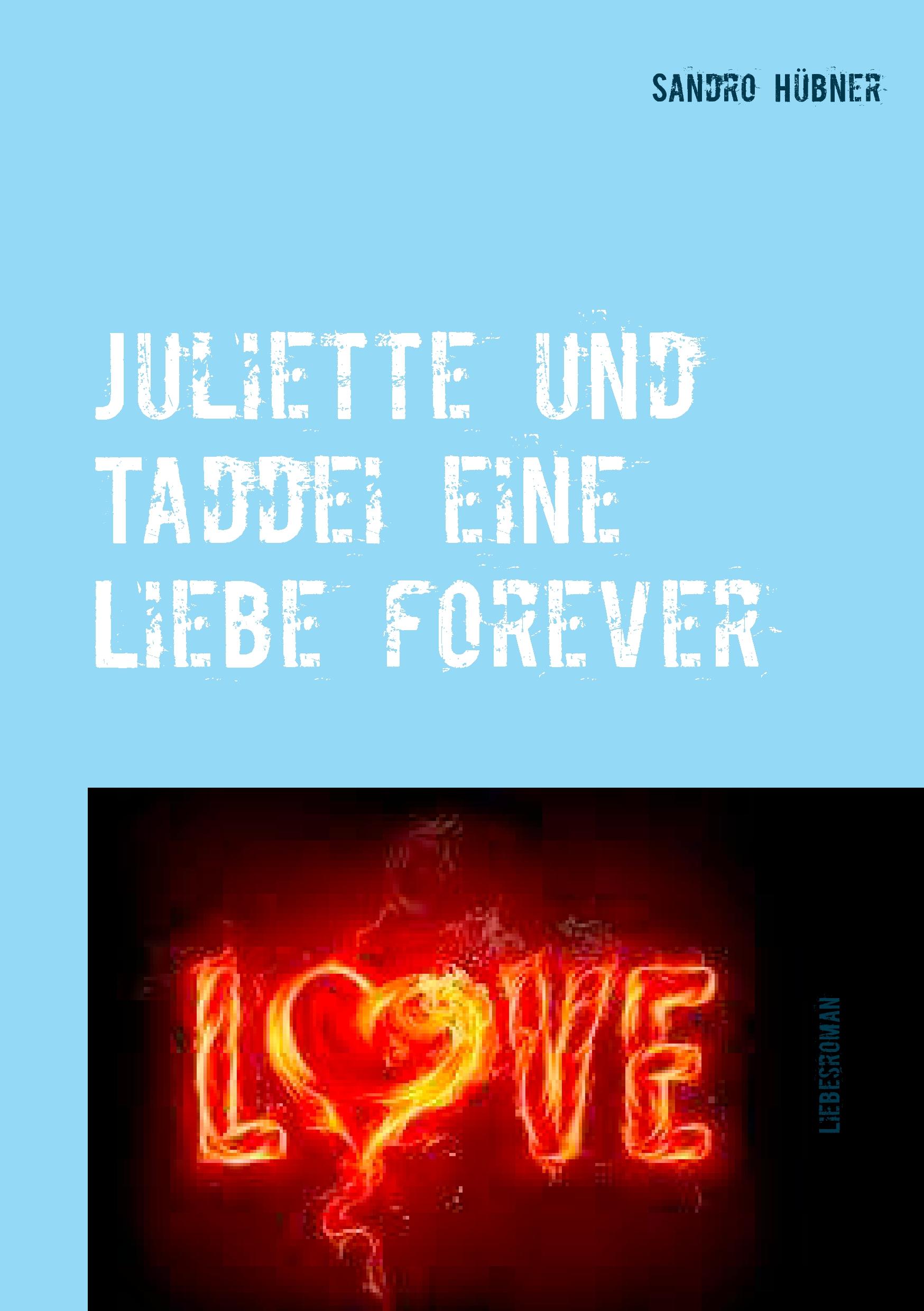 Vorderes Coverbild Juliette und Taddei eine Liebe forever