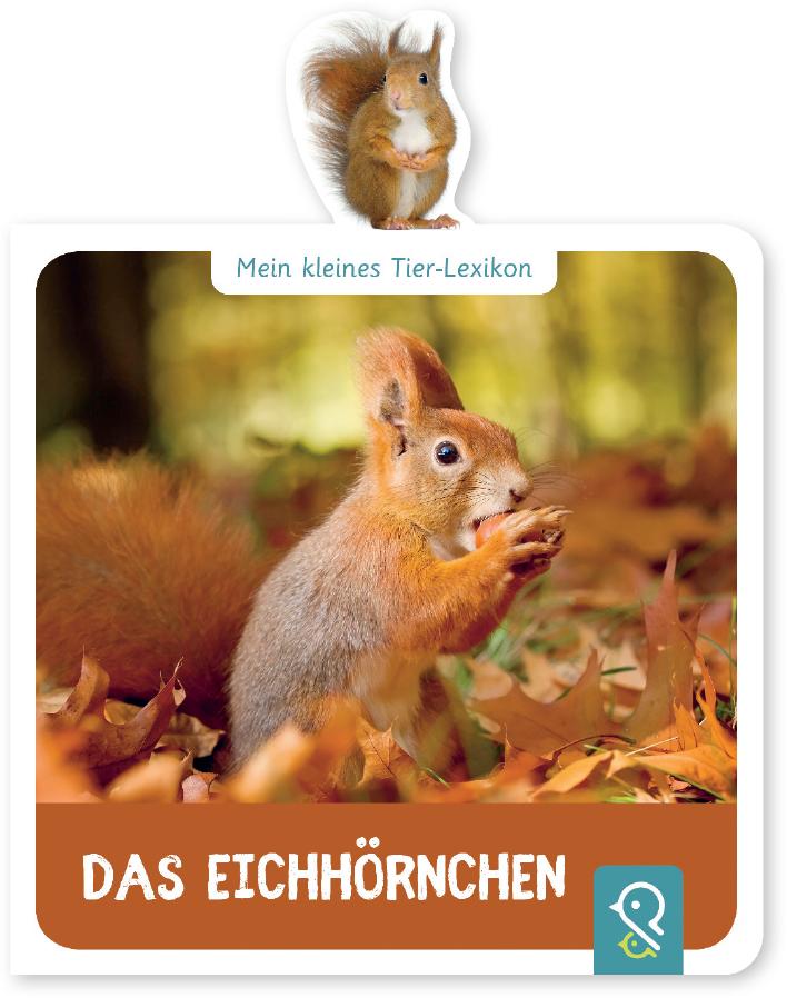 Vorderes Coverbild Mein kleines Tier-Lexikon - Das Eichhörnchen