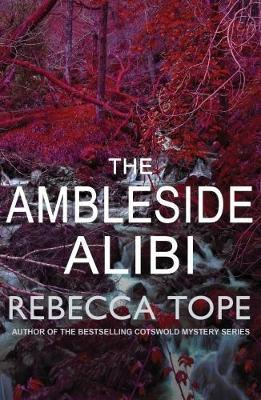 Vorderes Coverbild The Ambleside Alibi