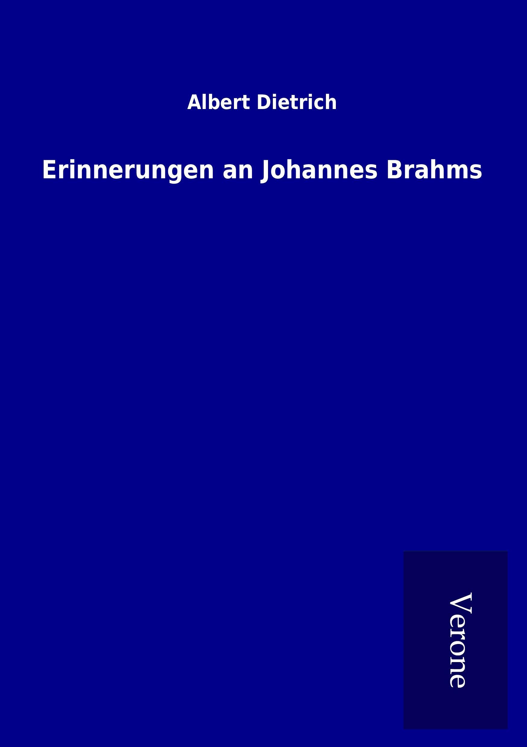Vorderes Coverbild Erinnerungen an Johannes Brahms