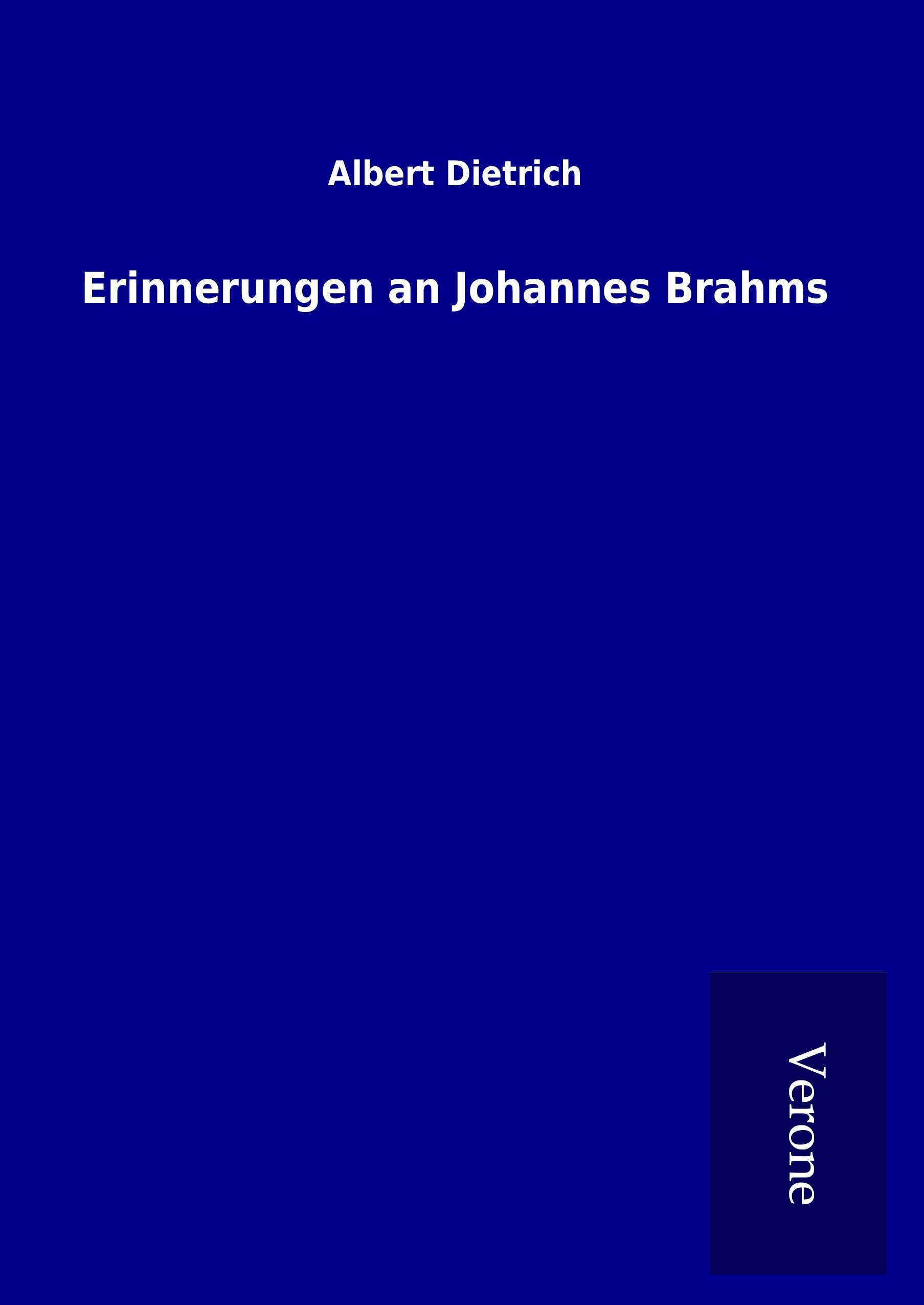 Vorderes Coverbild Erinnerungen an Johannes Brahms
