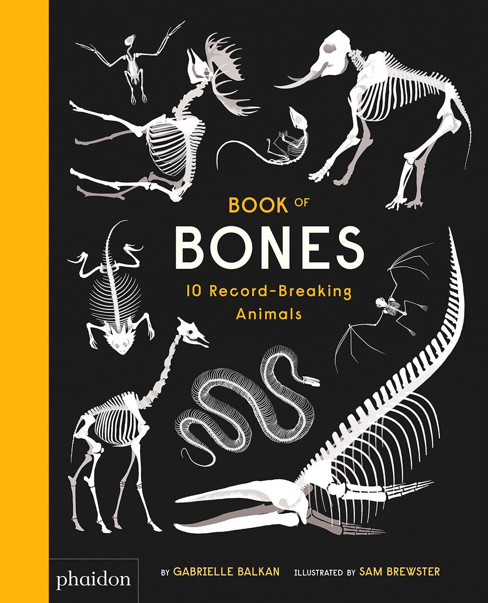 Vorderes Coverbild Book of Bones