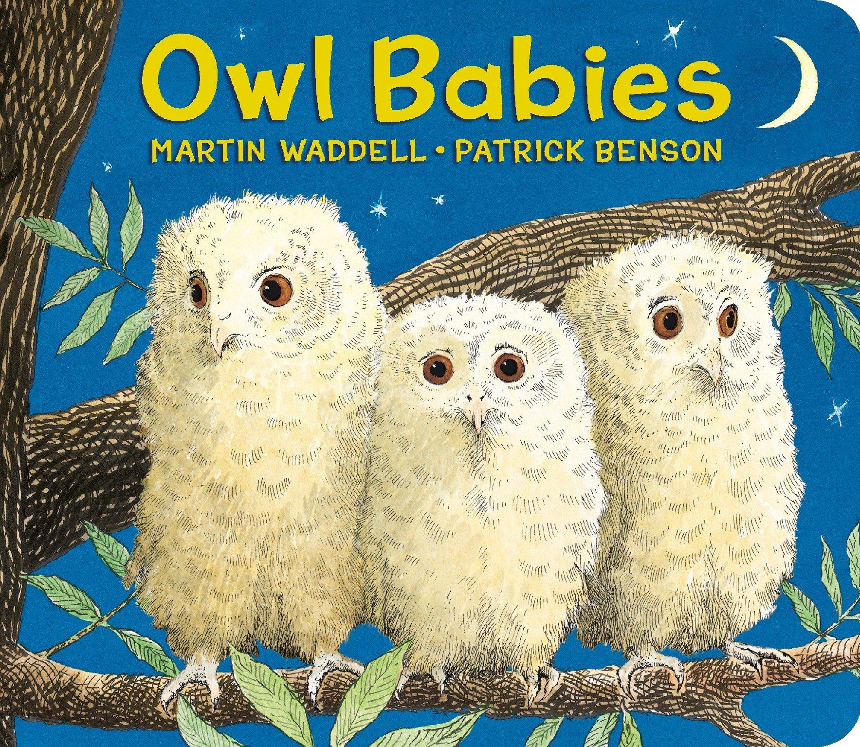 Vorderes Coverbild Owl Babies Oversized Board Book