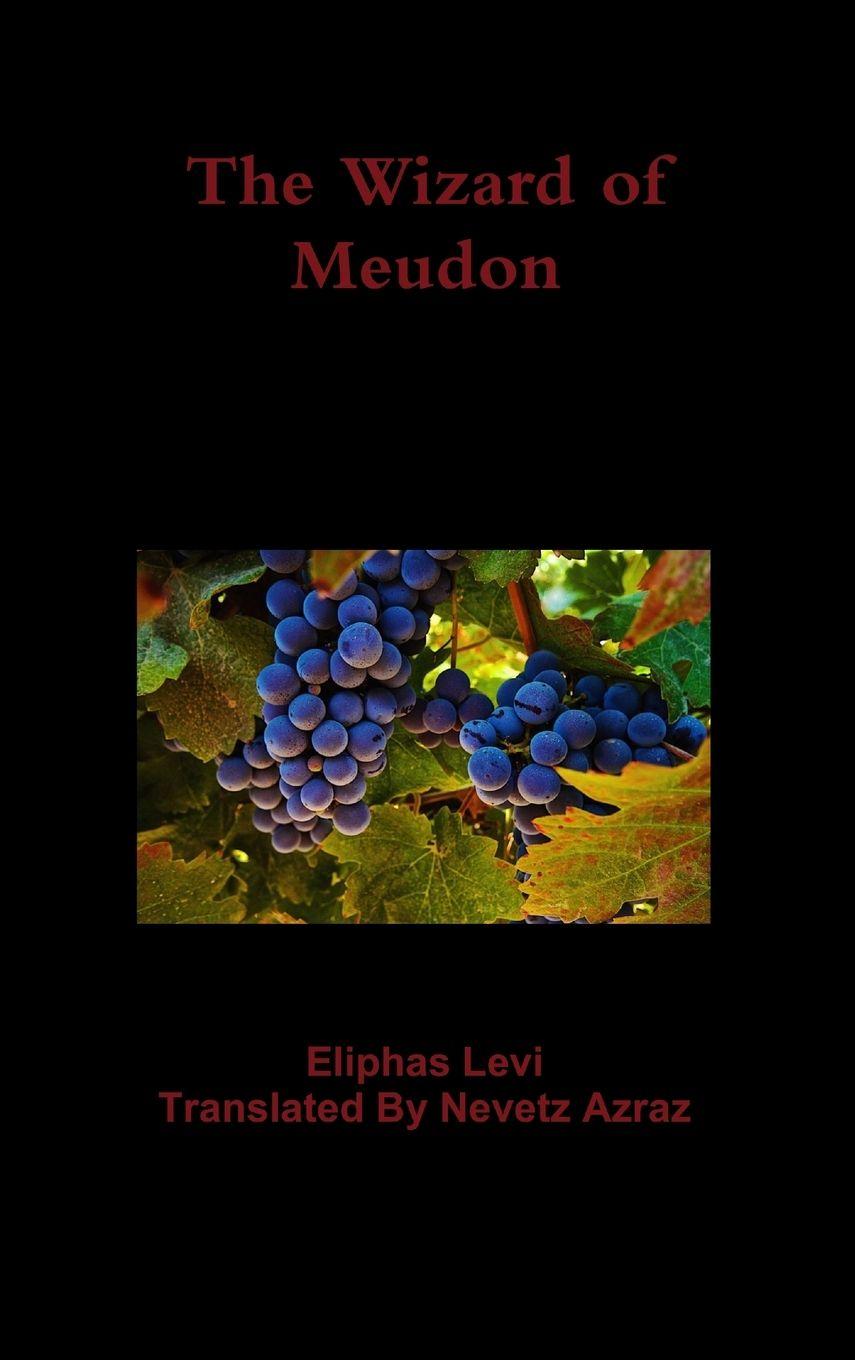 Vorderes Coverbild The Wizard of Meudon