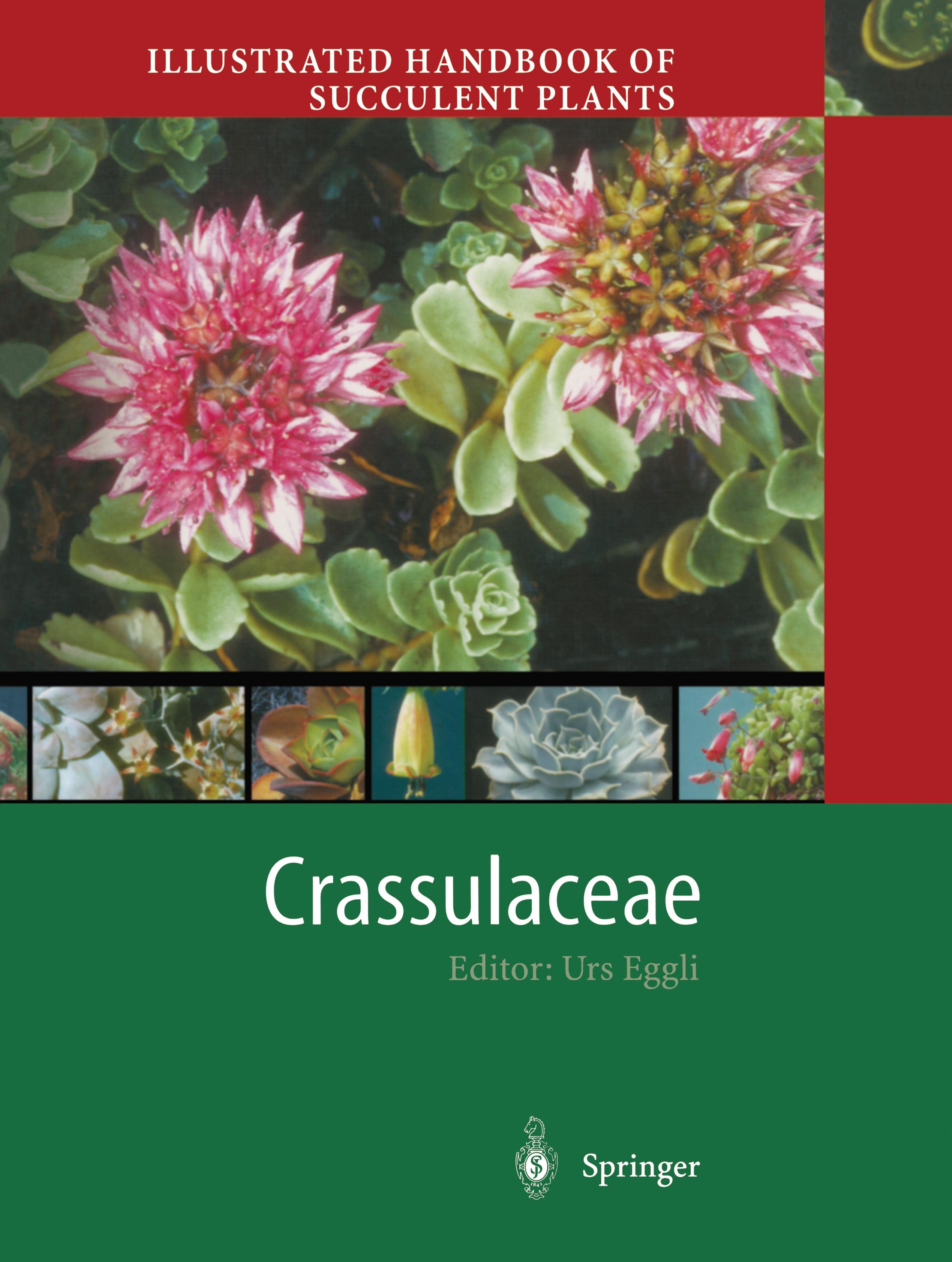 Vorderes Coverbild Illustrated Handbook of Succulent Plants: Crassulaceae