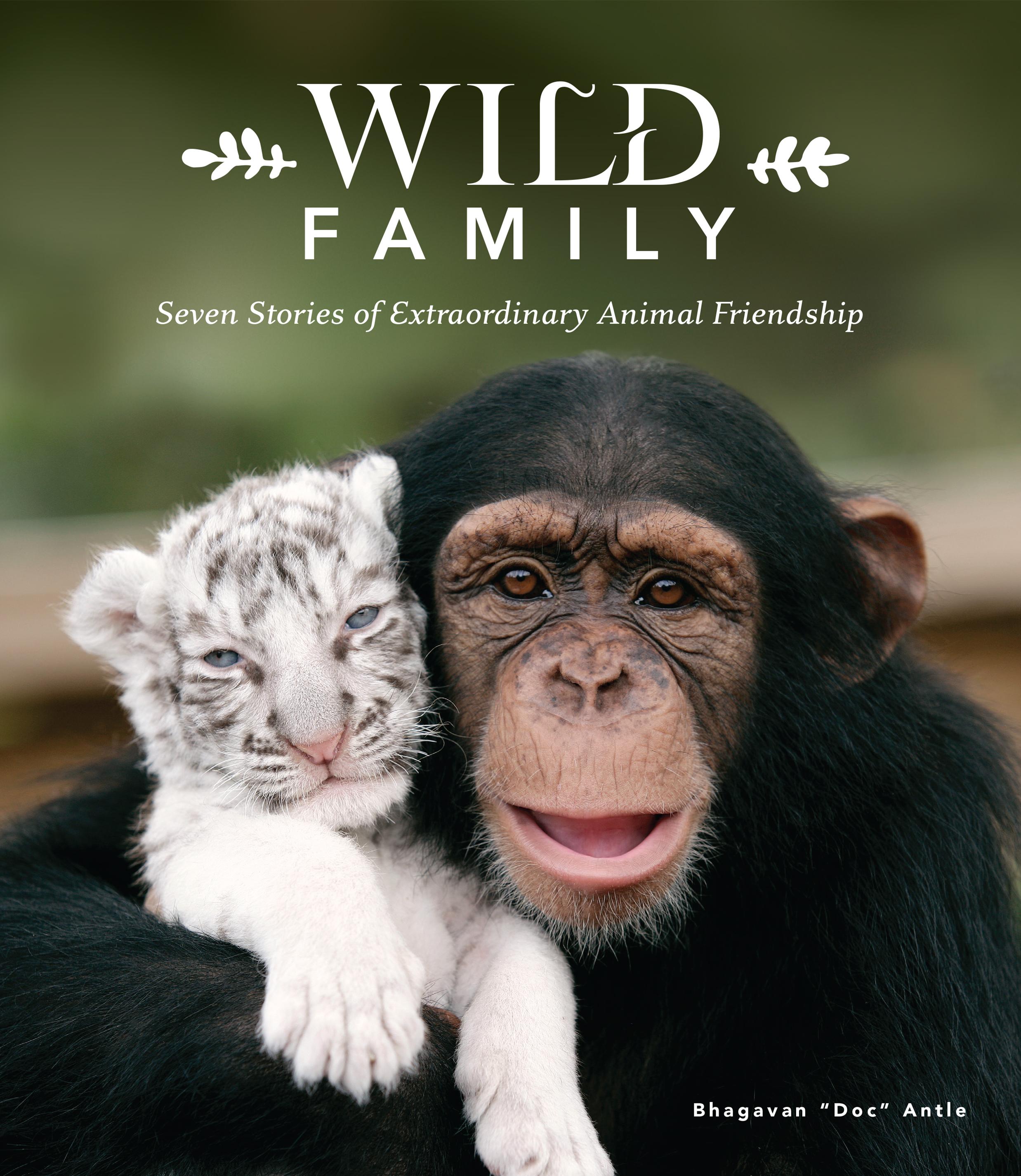 Vorderes Coverbild Wild Family